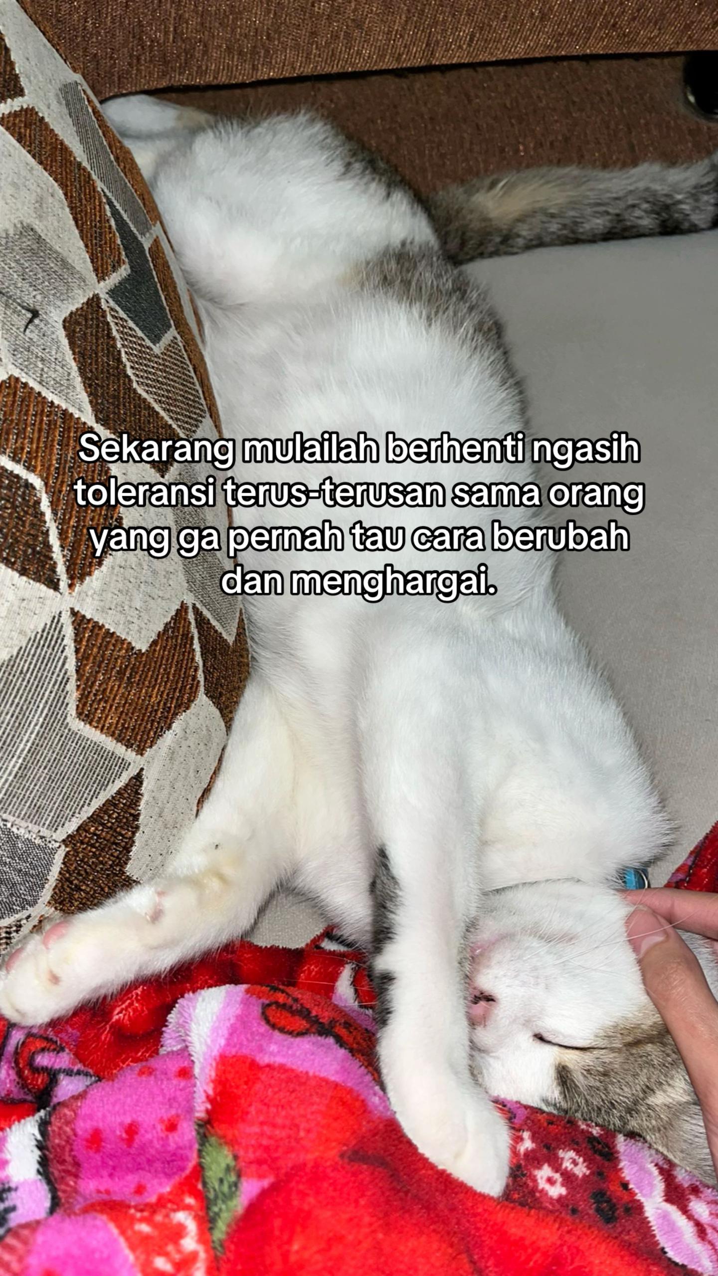 @🎧ྀི♪⋆.✮