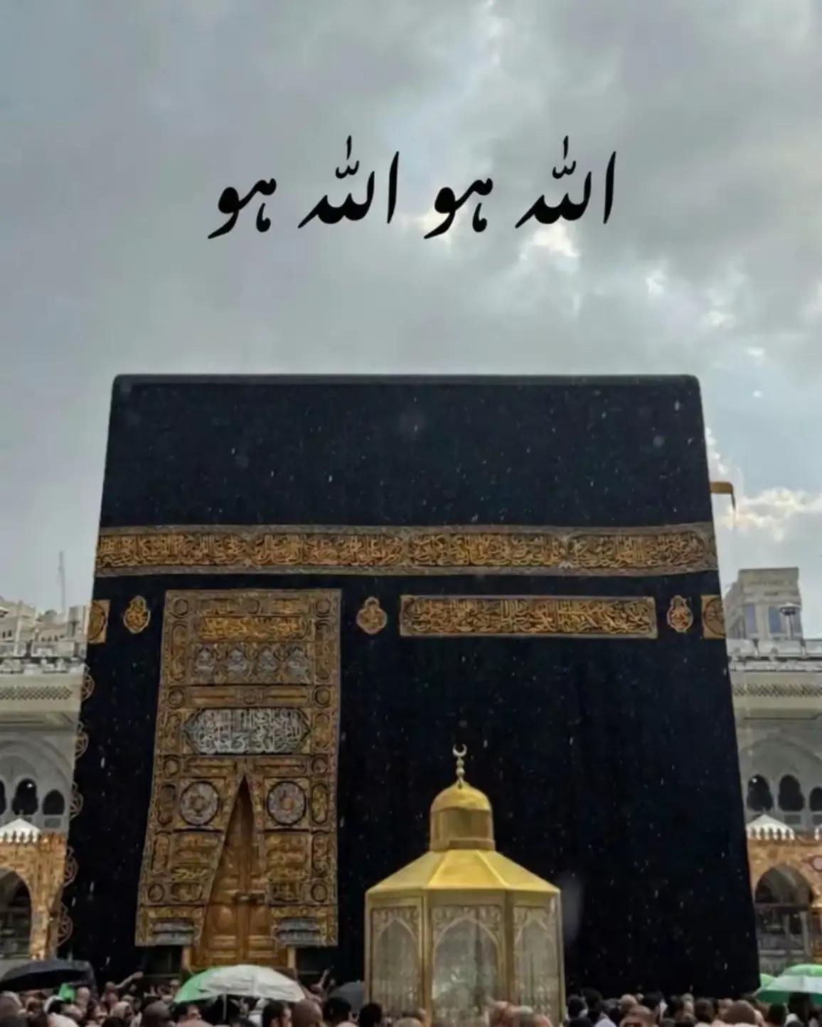 @HUMAIR. 46🐯🐯