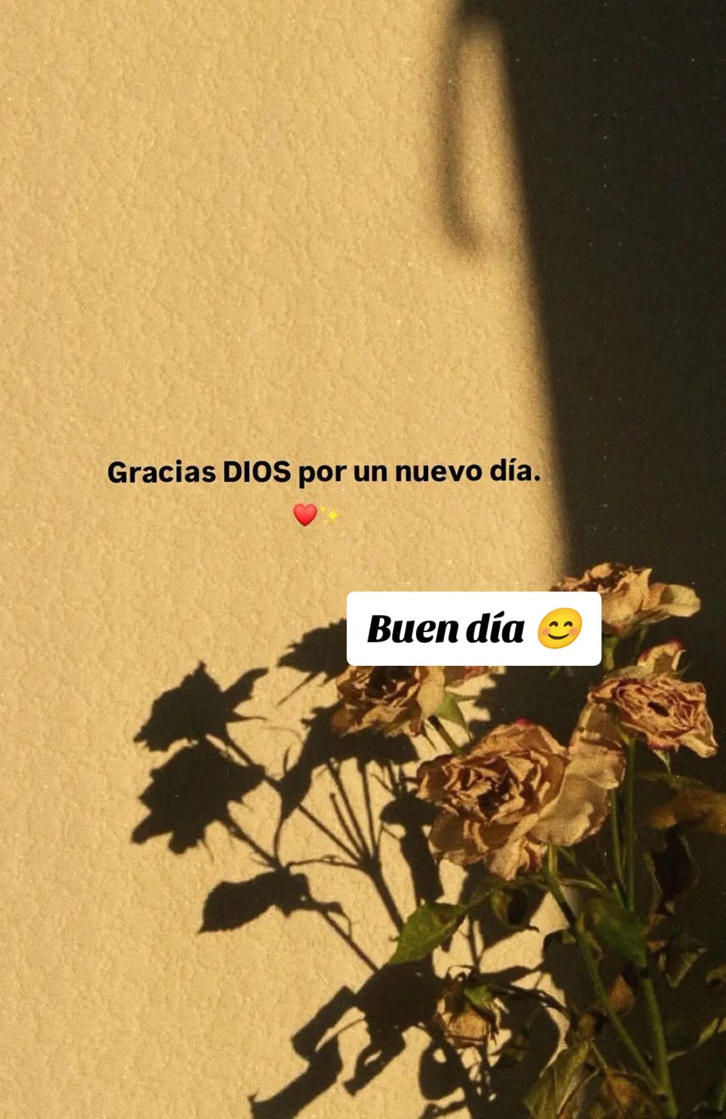 @alileiva ✨🌺🫀🧠🥂