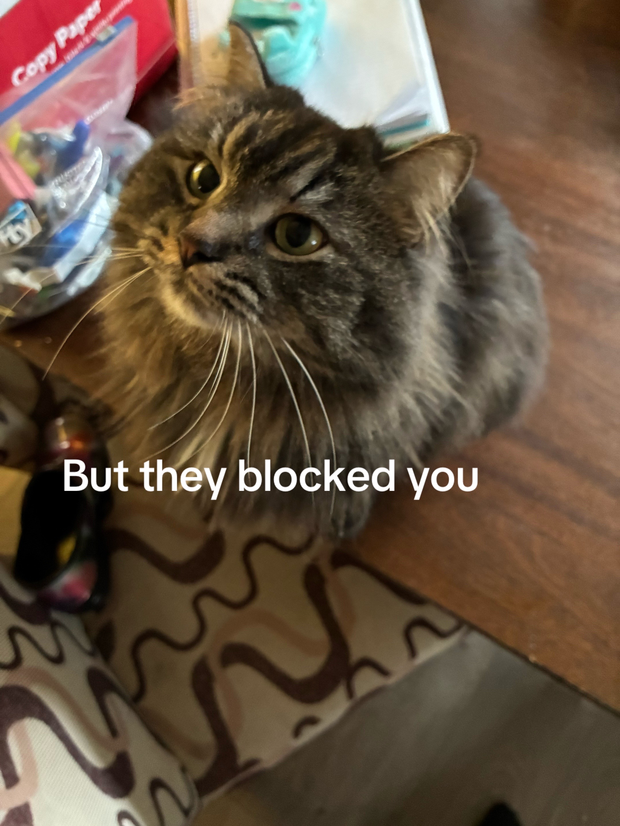 @Beanie🤪zini