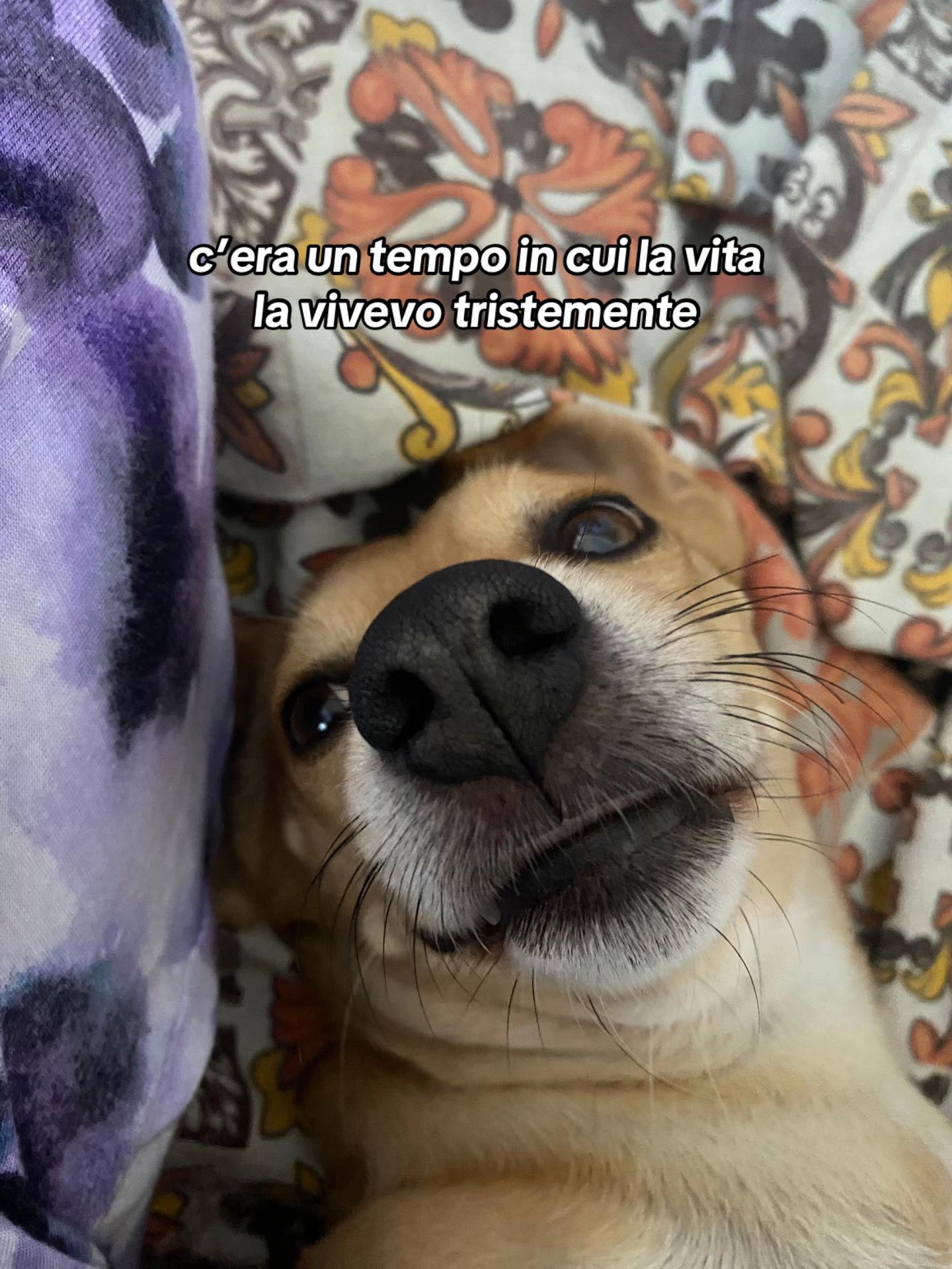 @𝐸 𝑅 𝒴🦥