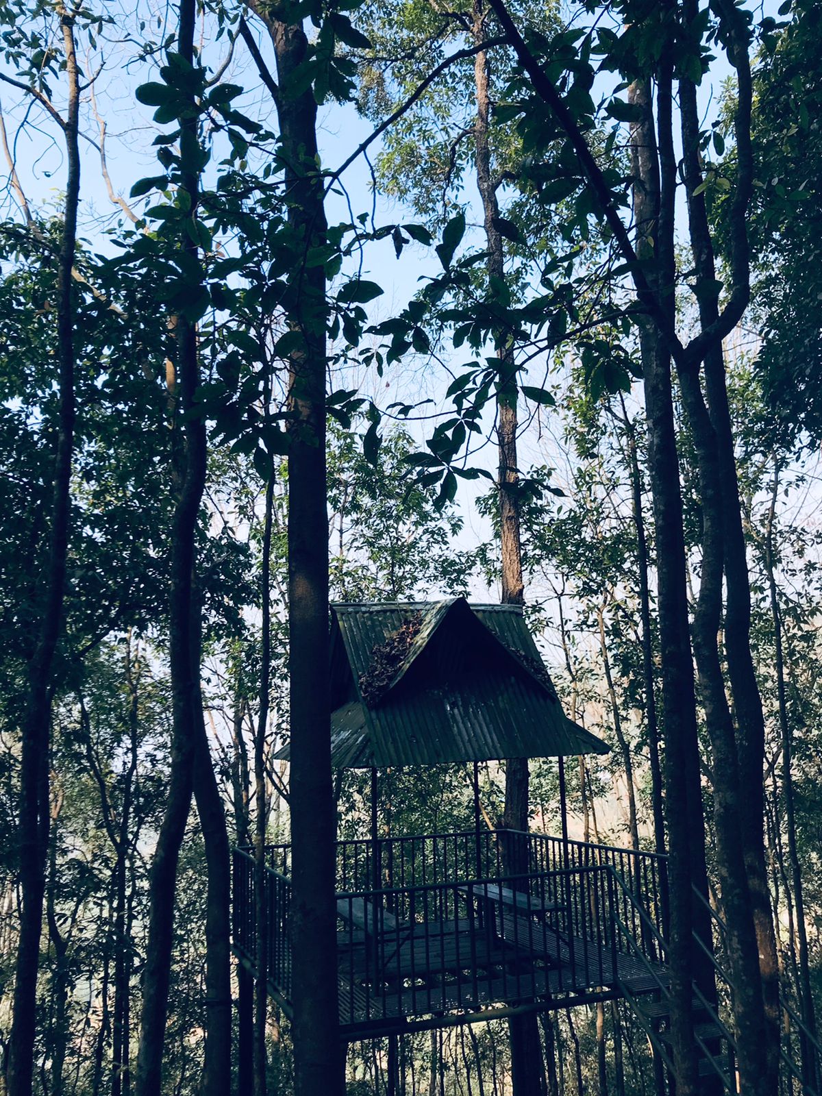 @siddhant.K