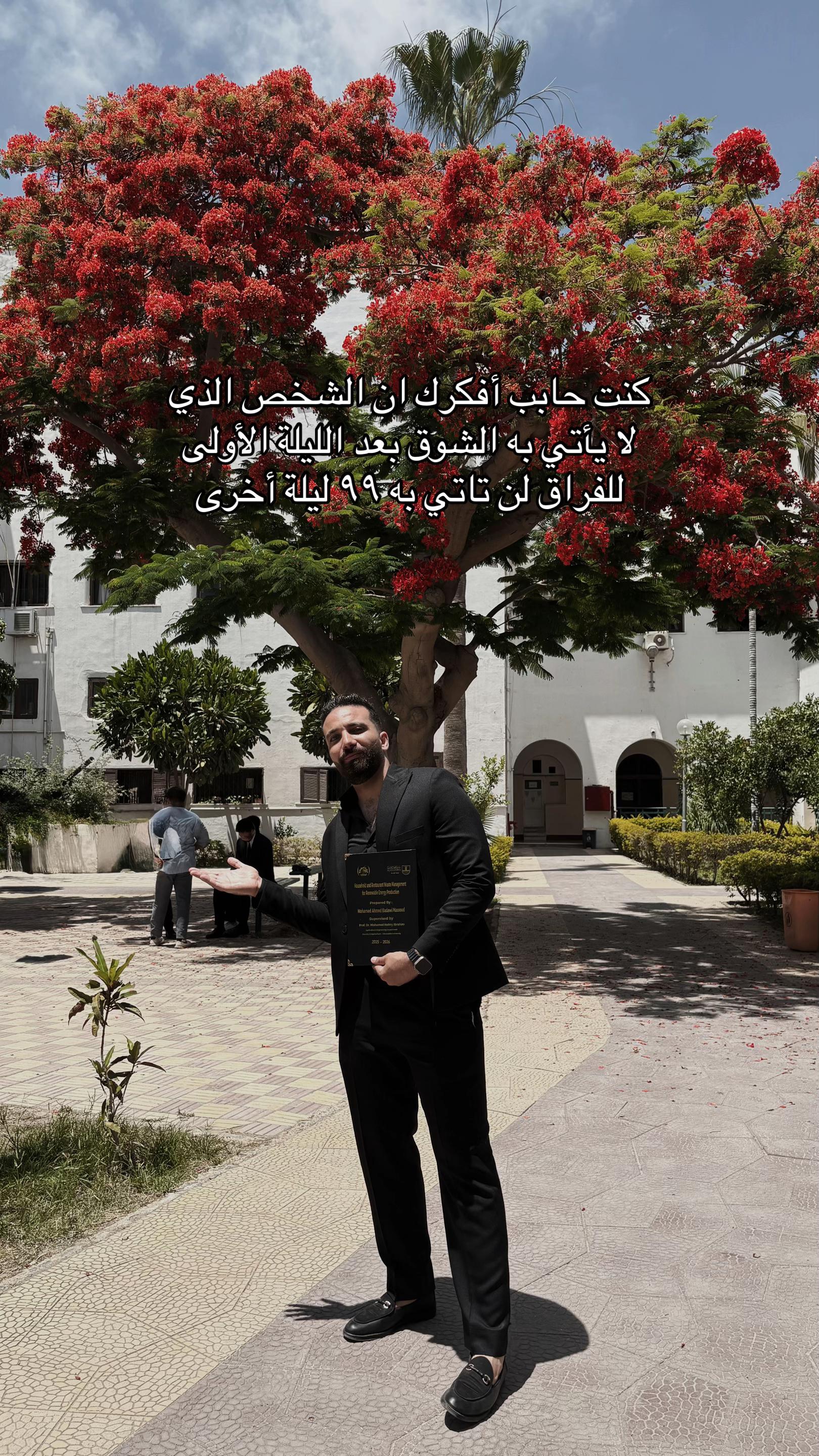 @Mohamed Badawi