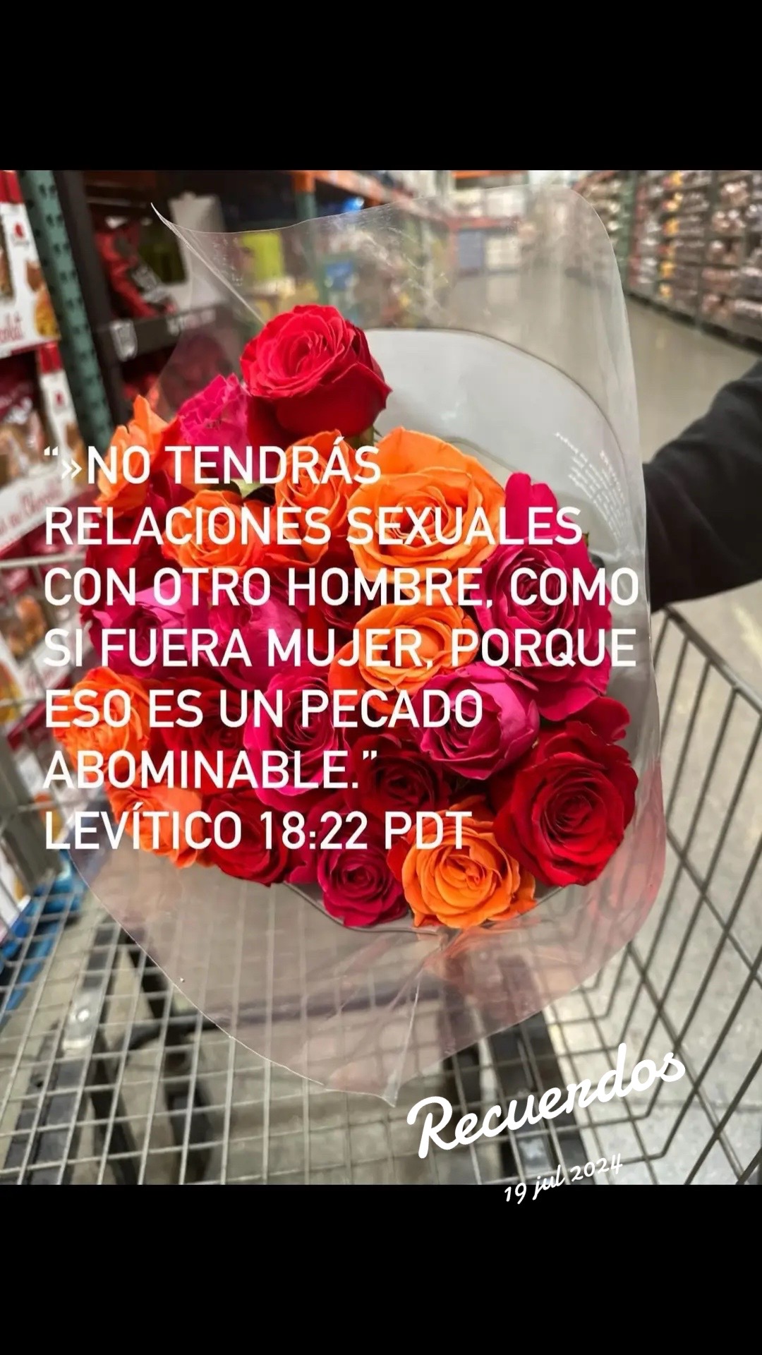 @AliciaAviles