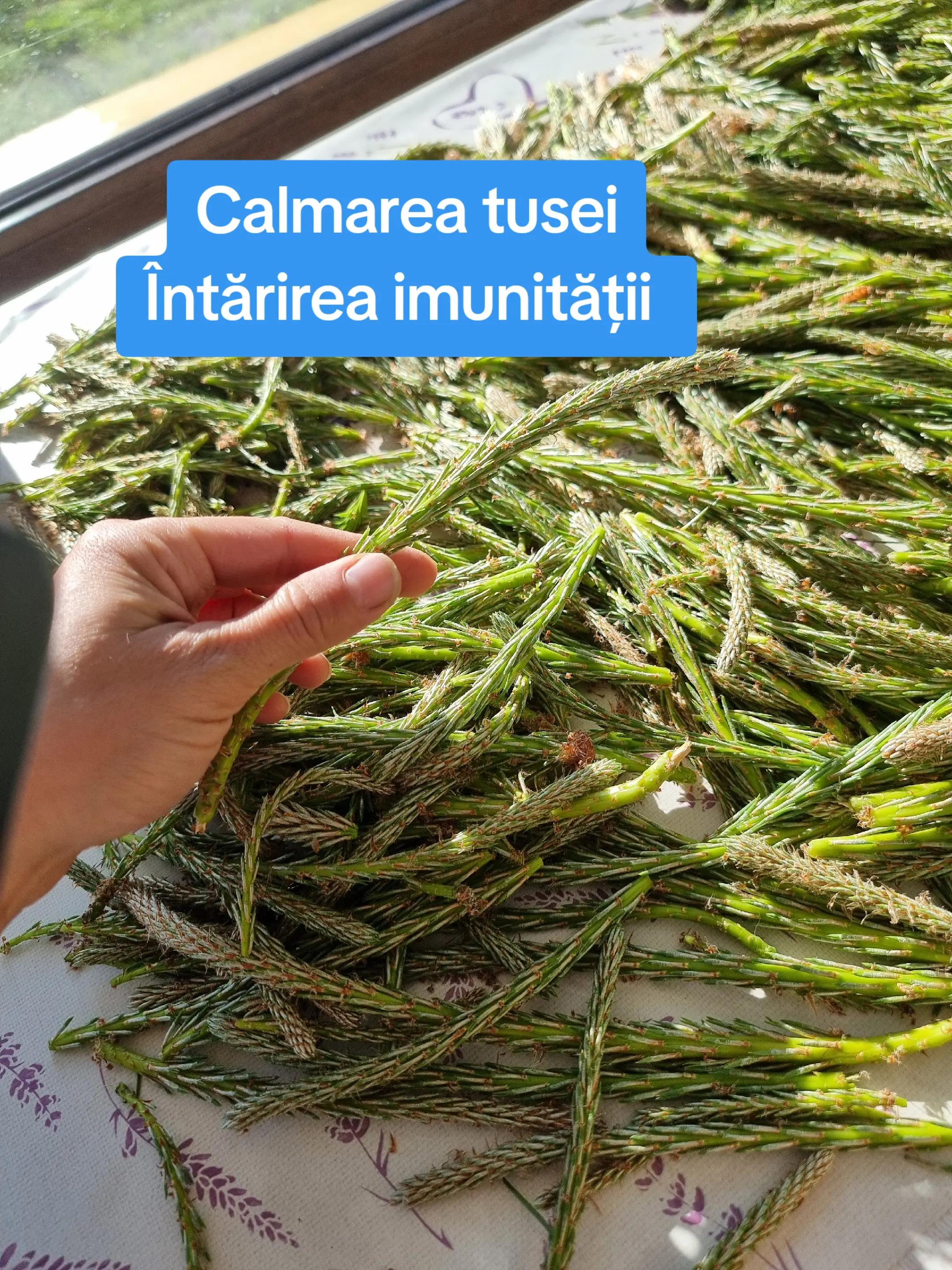 @🍎Din natură & Din tradiție
