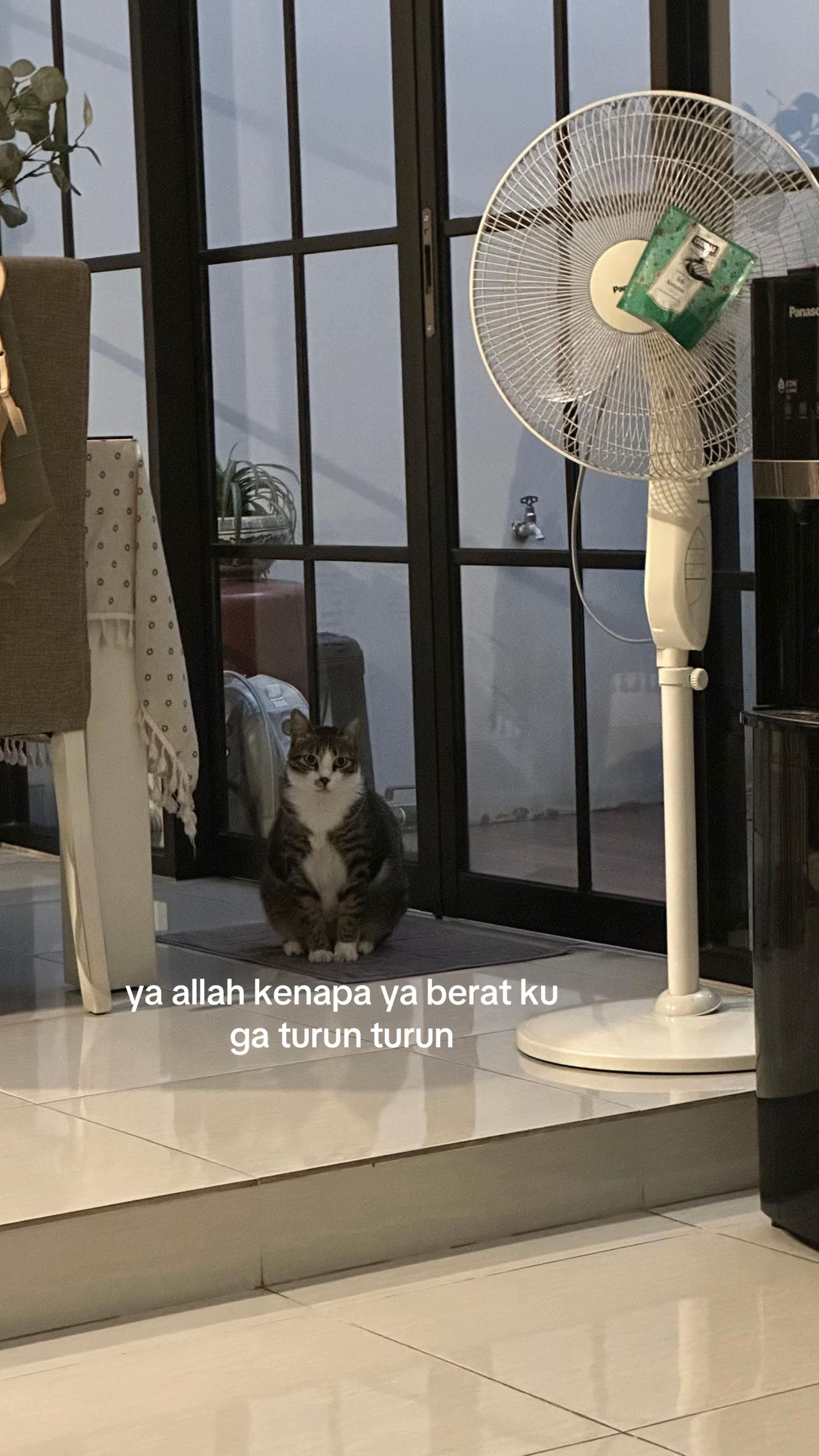 @OxaliStore