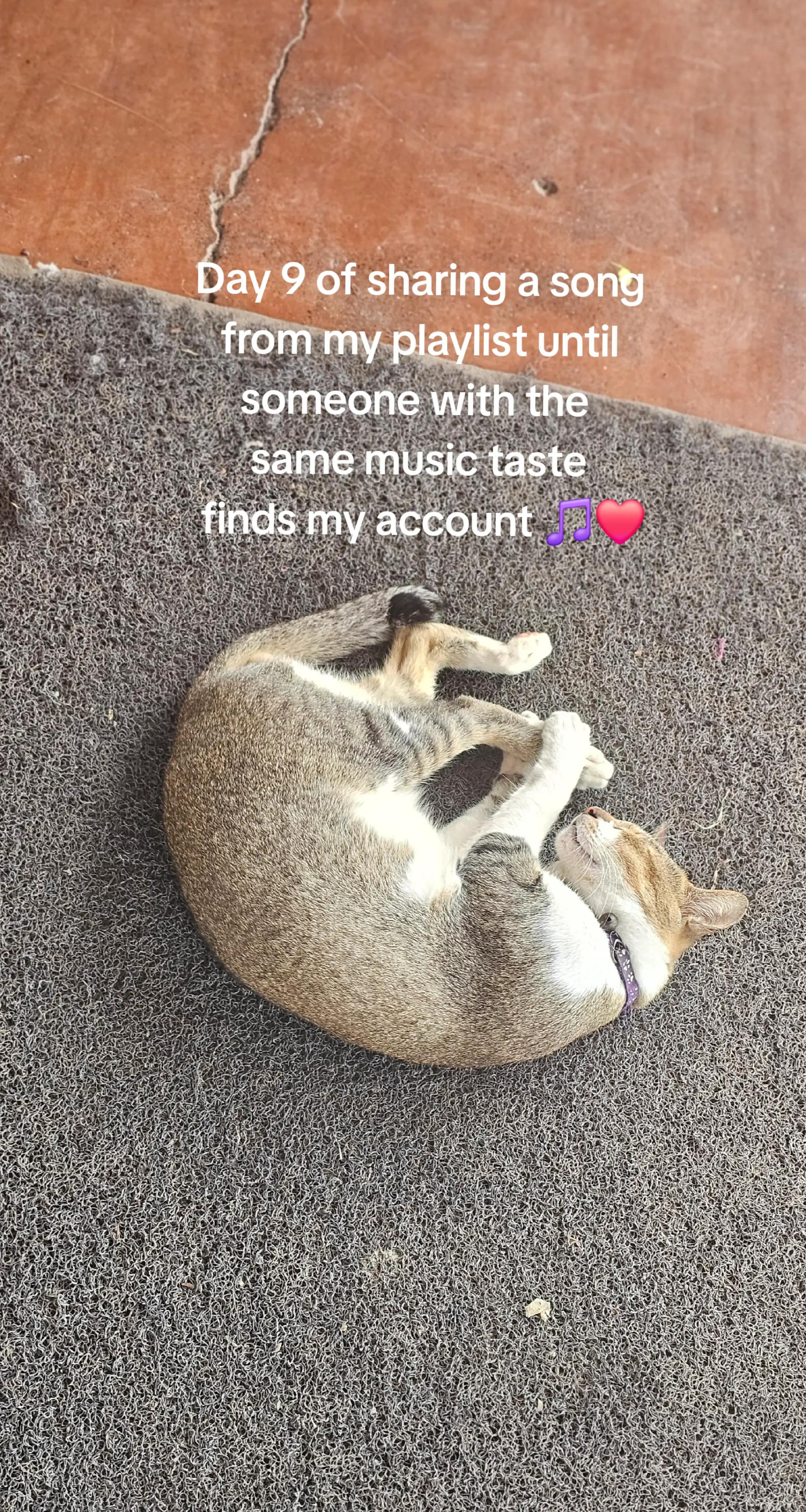 @ts