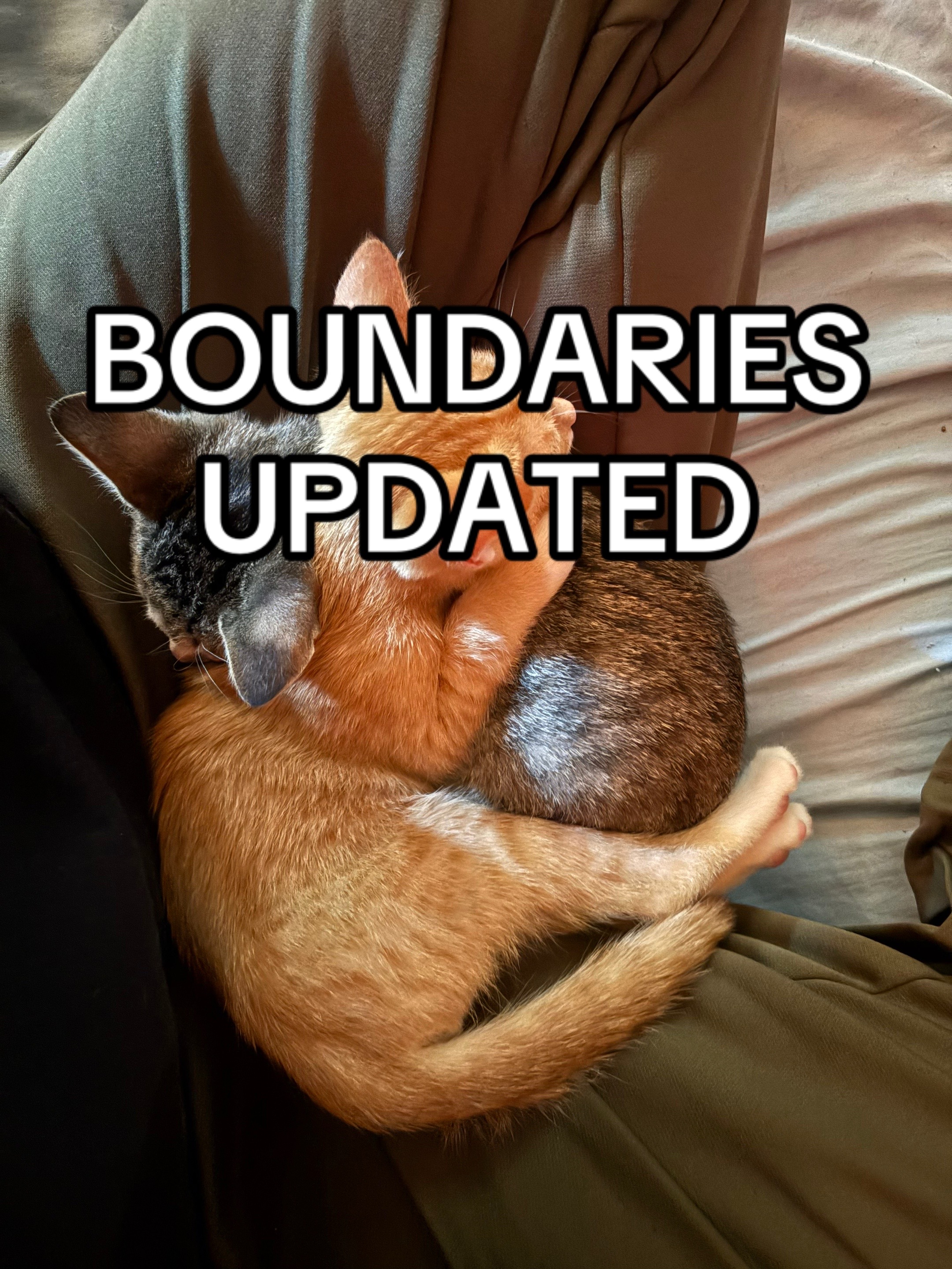 @Callsign:Cat