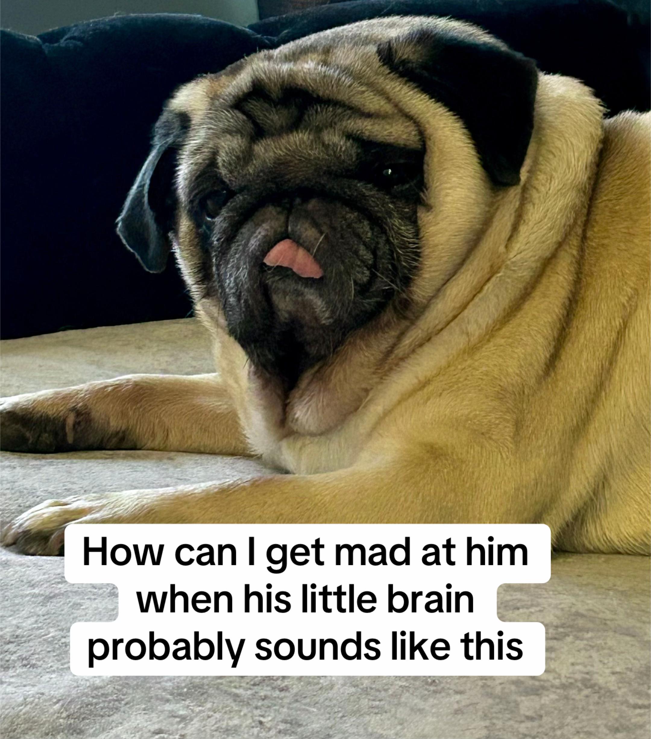 @Gemma