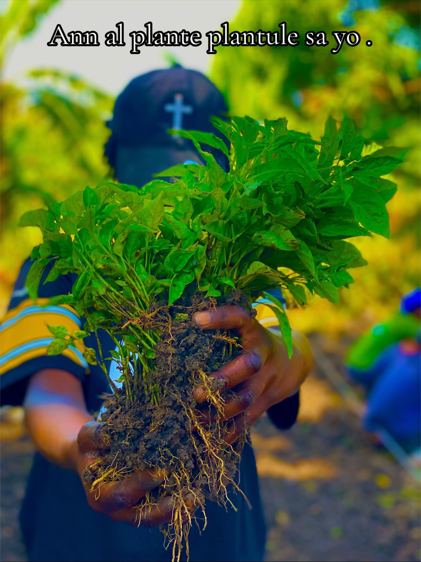 @Agro Registre🧑🌾🇭🇹