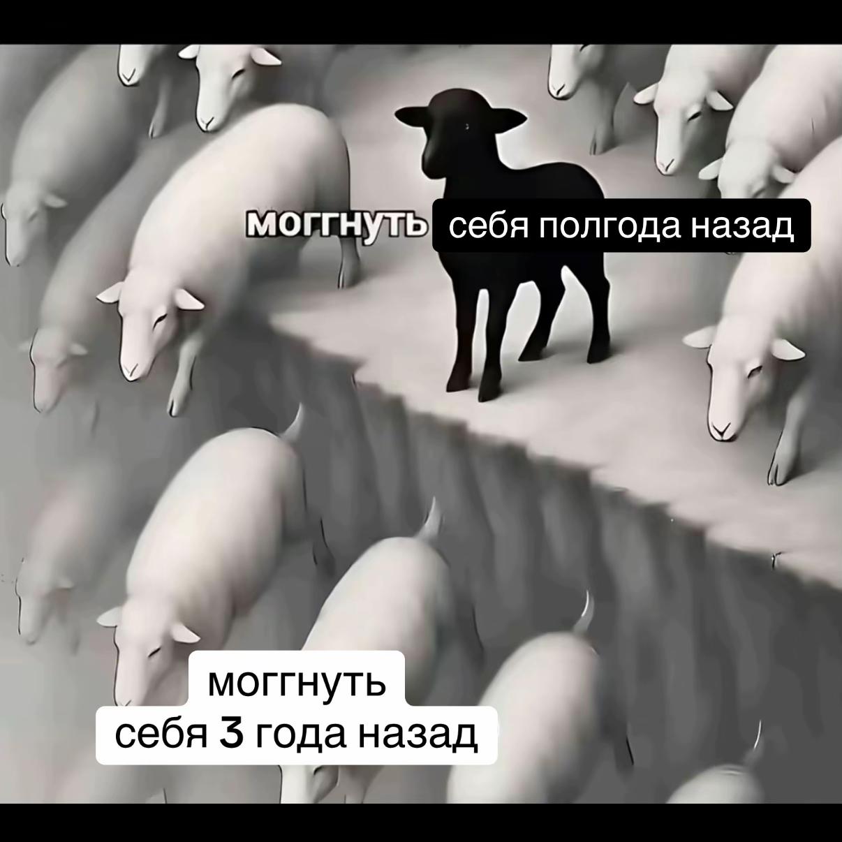 @яненика 🤪