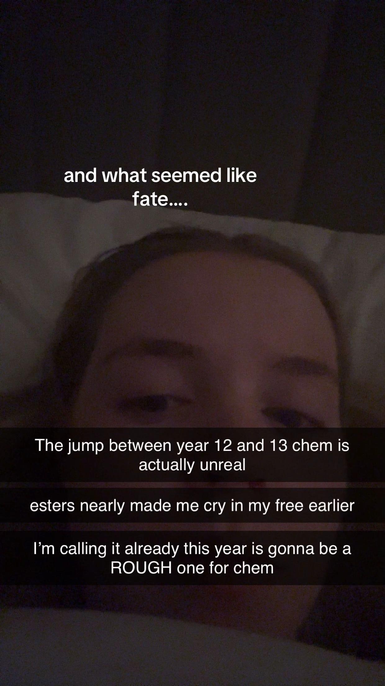 @phoebe.study