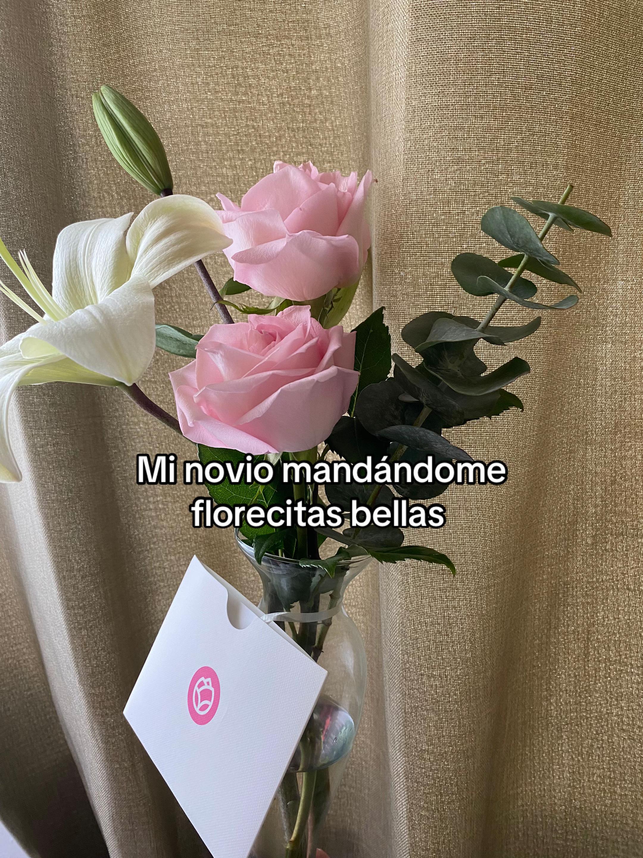 @Evelia