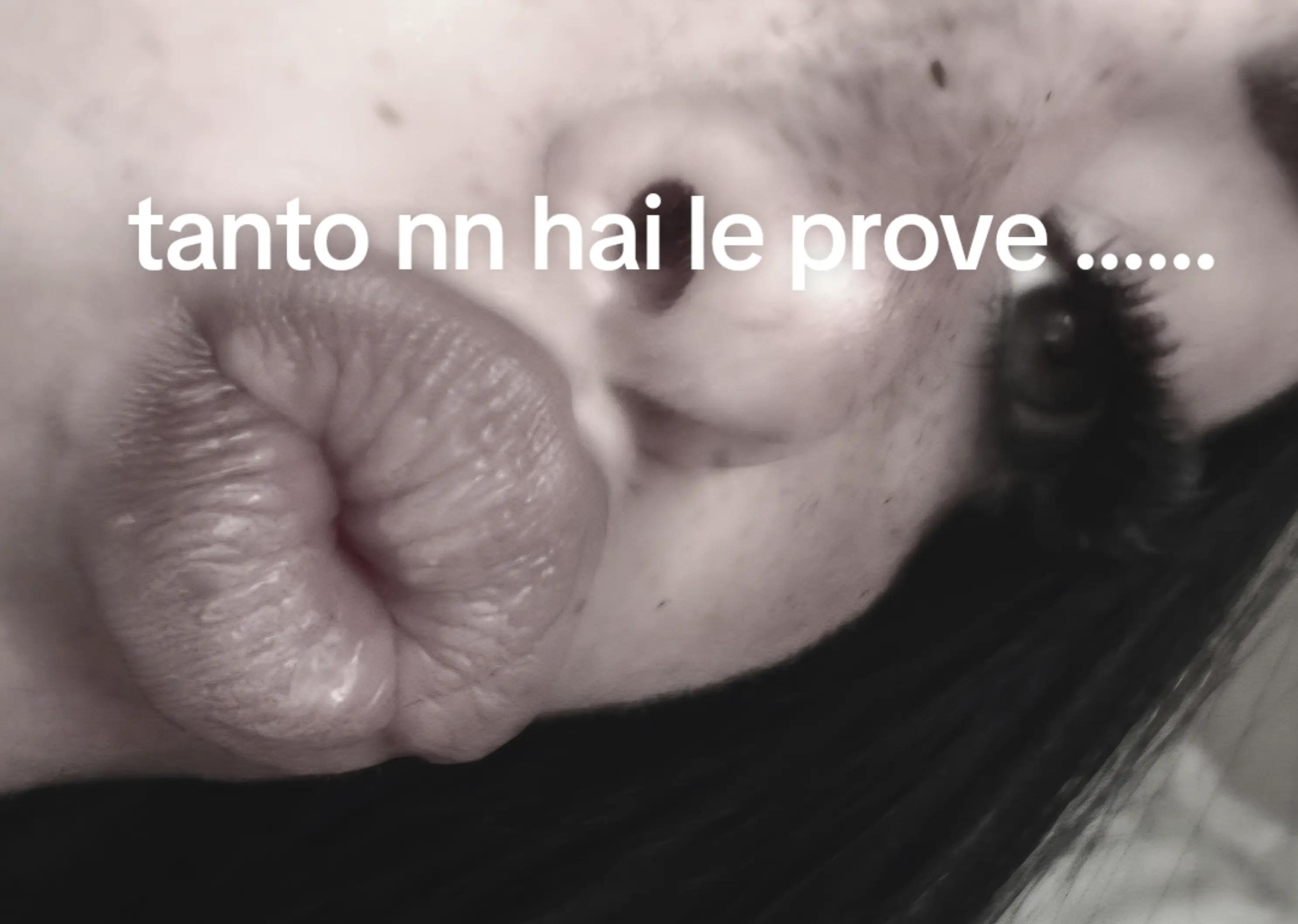 @𝓛.𝓐 🖤