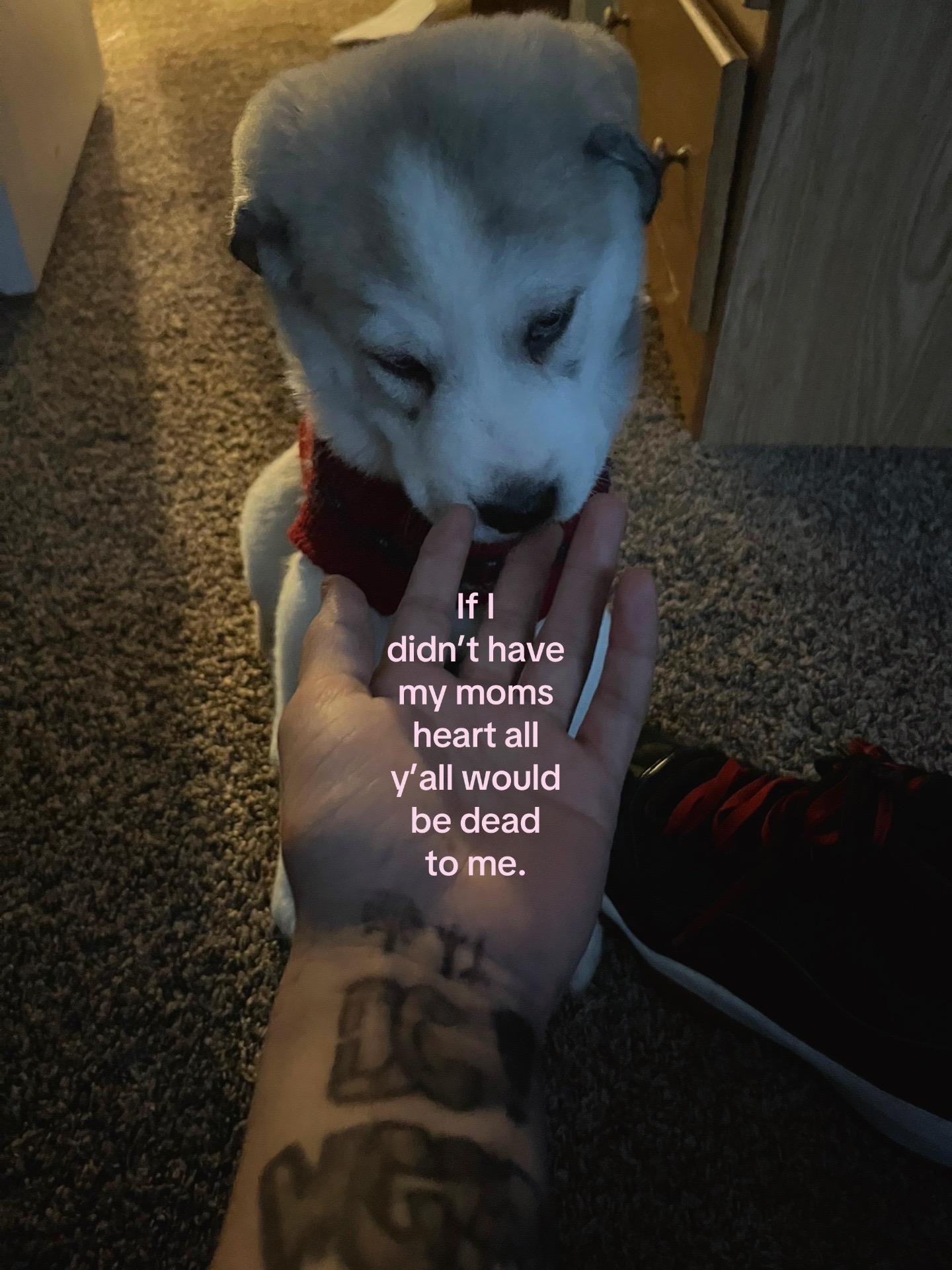 @♦️🐘🐘✝️