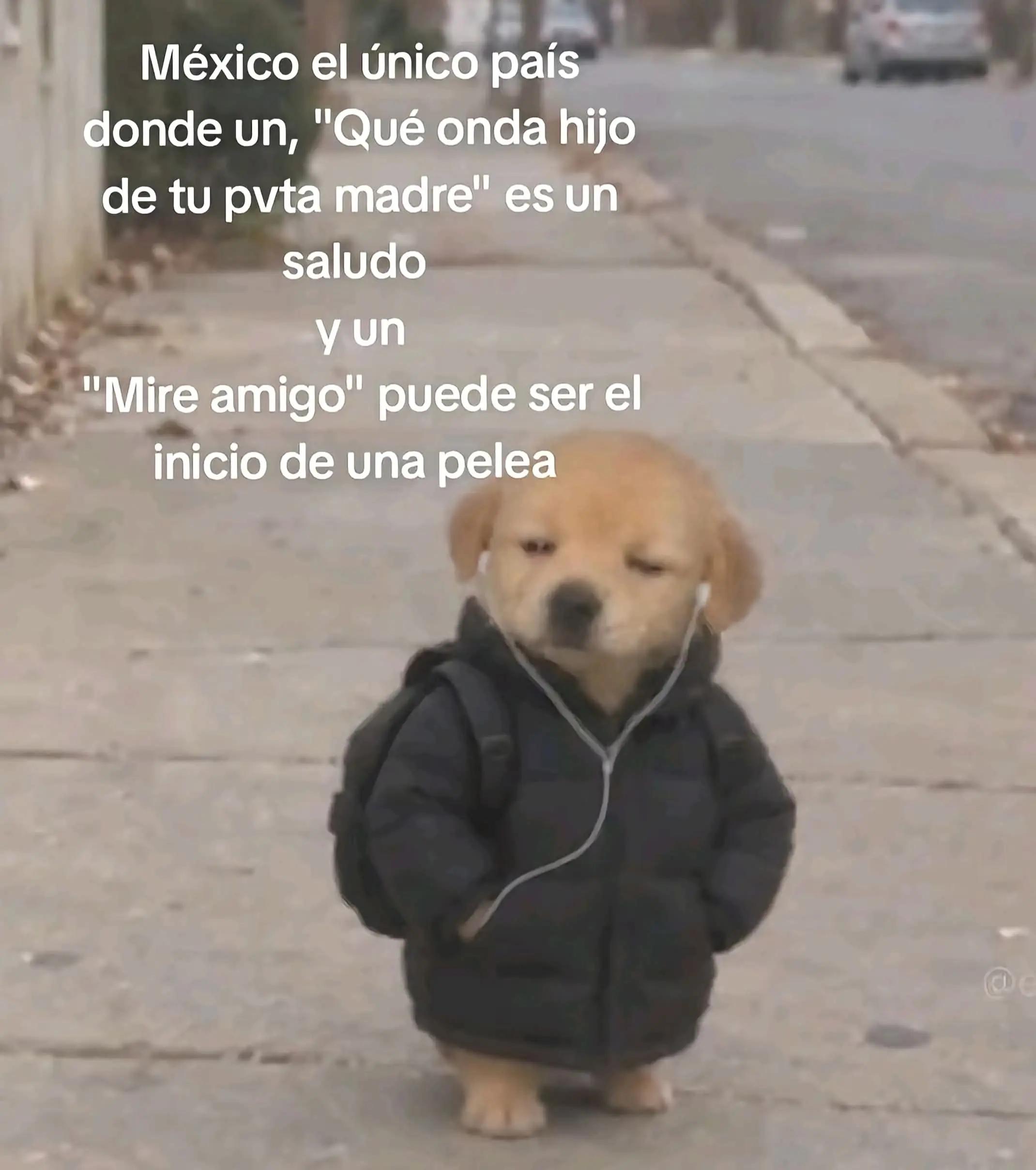 @Gabriel XL