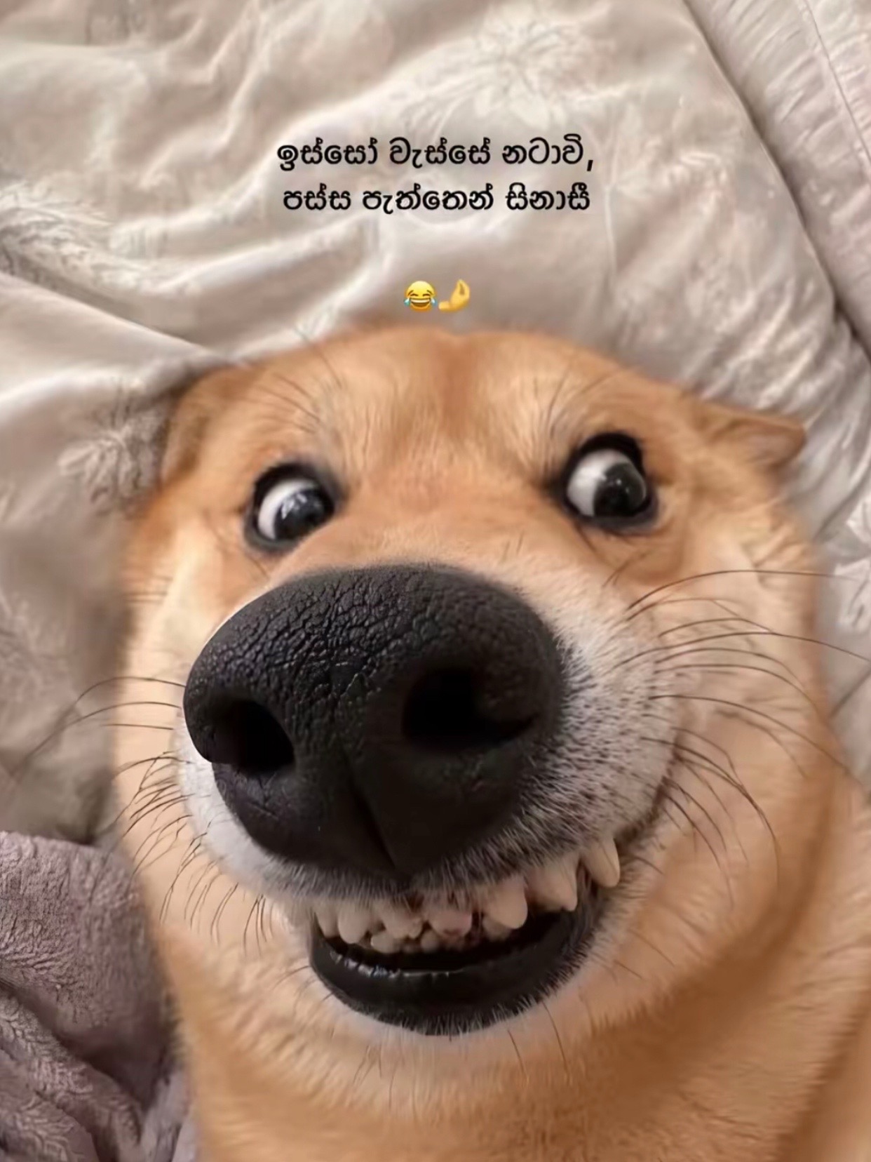 @𝑀𝒜 𝐻𝒾 ! ♡💋