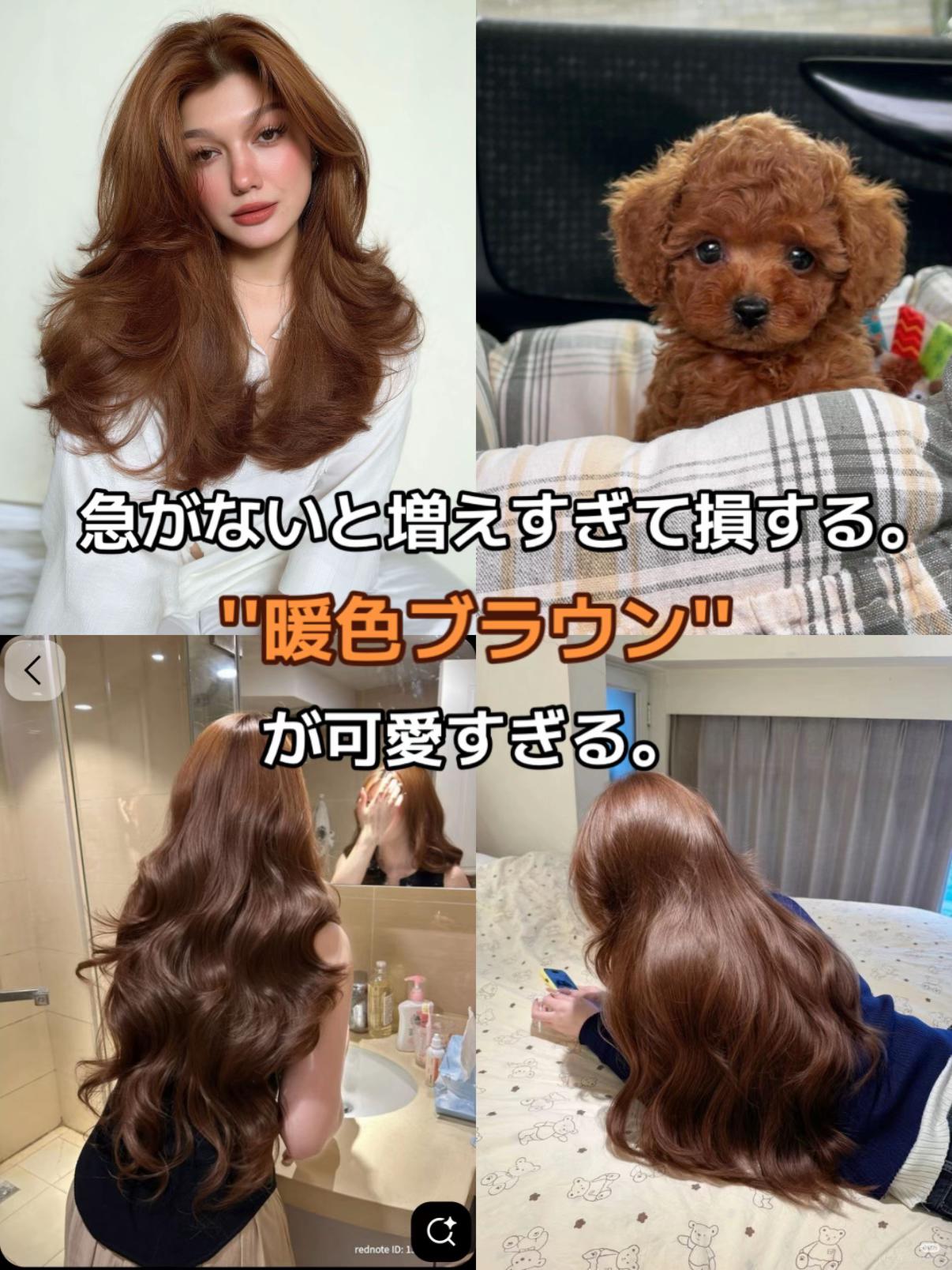 @マサ/暖色カラー/表参道