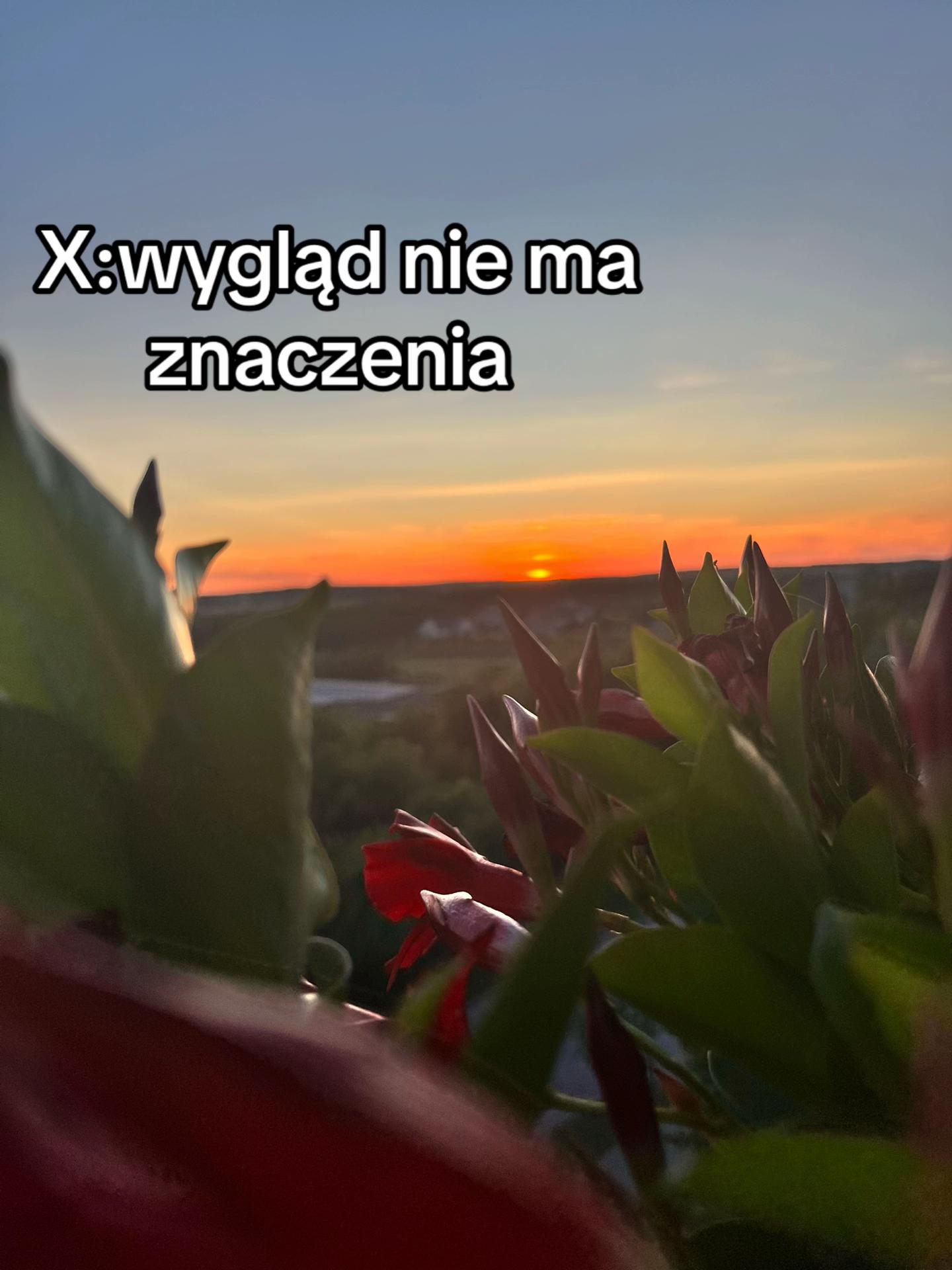 @୨ৎ𝓵 𝓲 𝓵 𝓪 𐙚౨ৎྀི