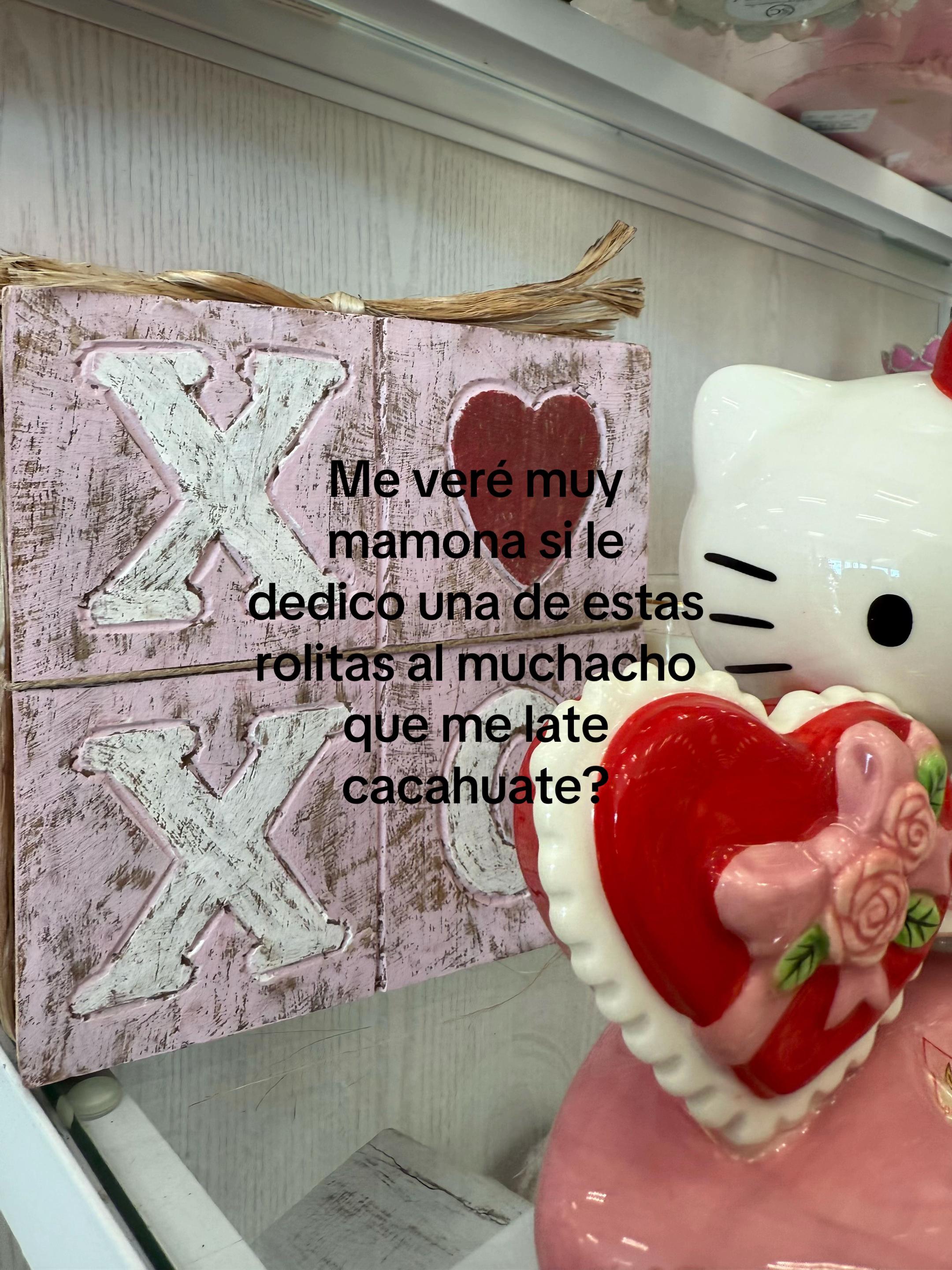 @🫀Lizette Mendoza❤️🦁