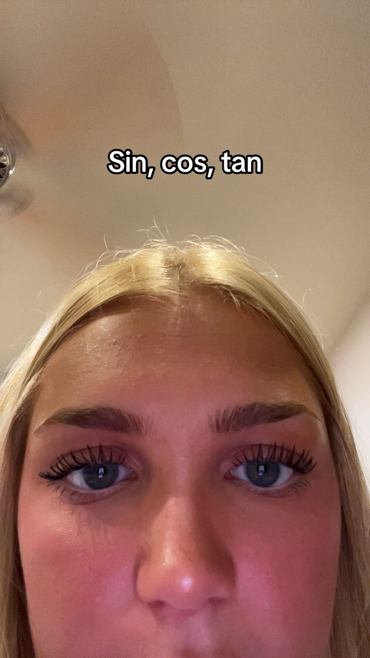 @hayden 🦄
