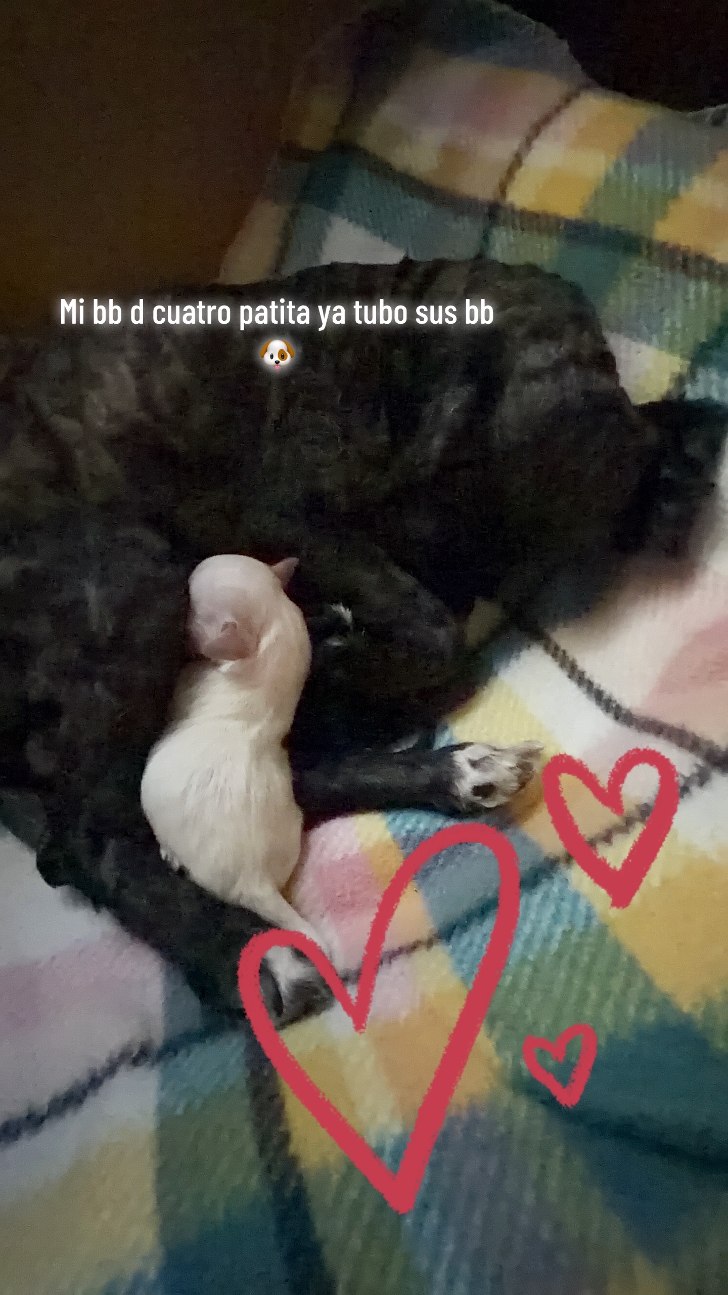 @La chaparrita sexi💝