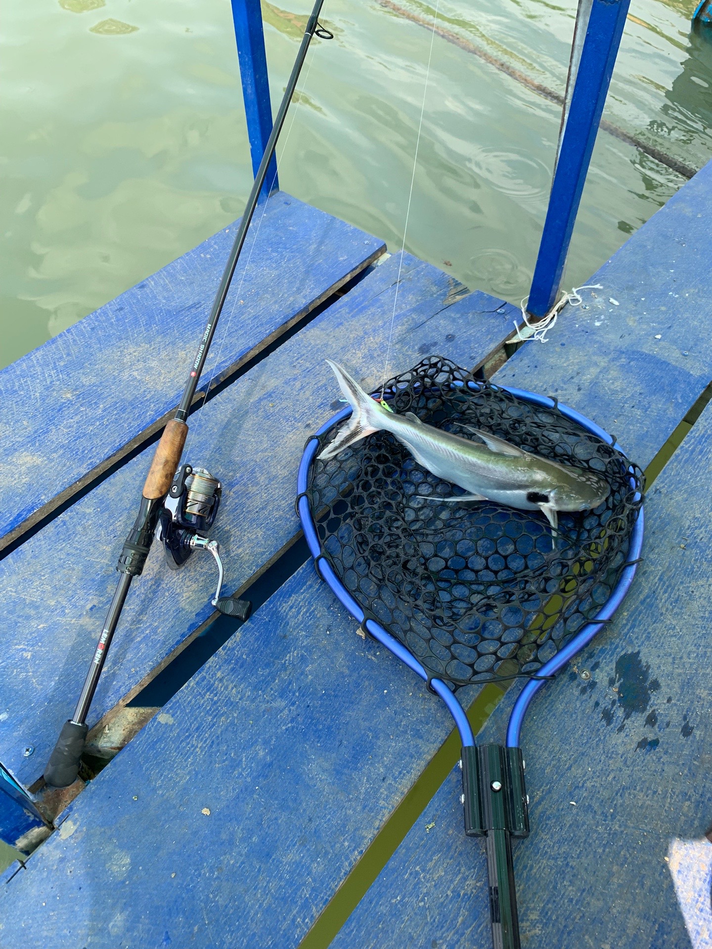 @Dara Fishing(KH)