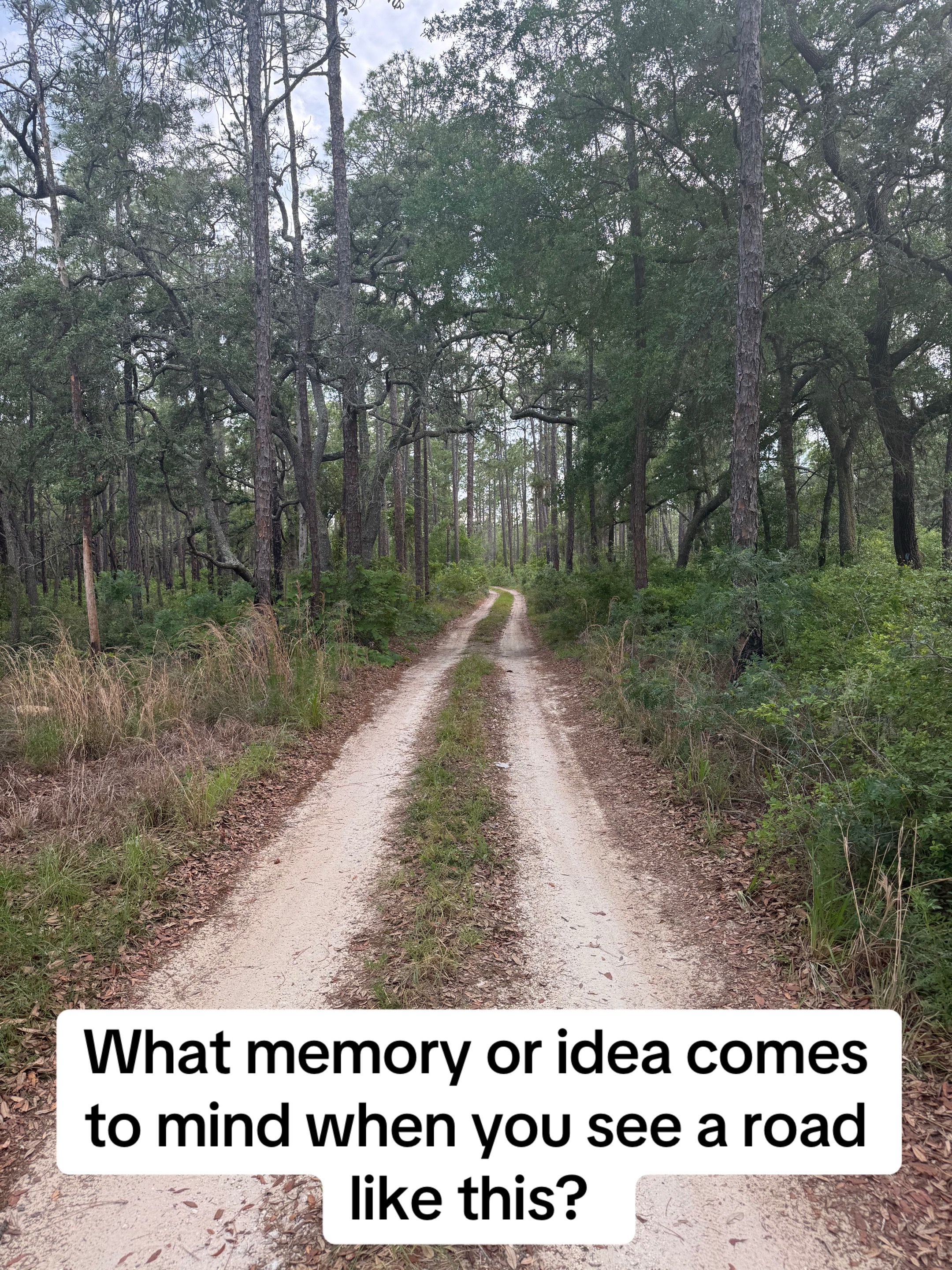 @TownsNTrails