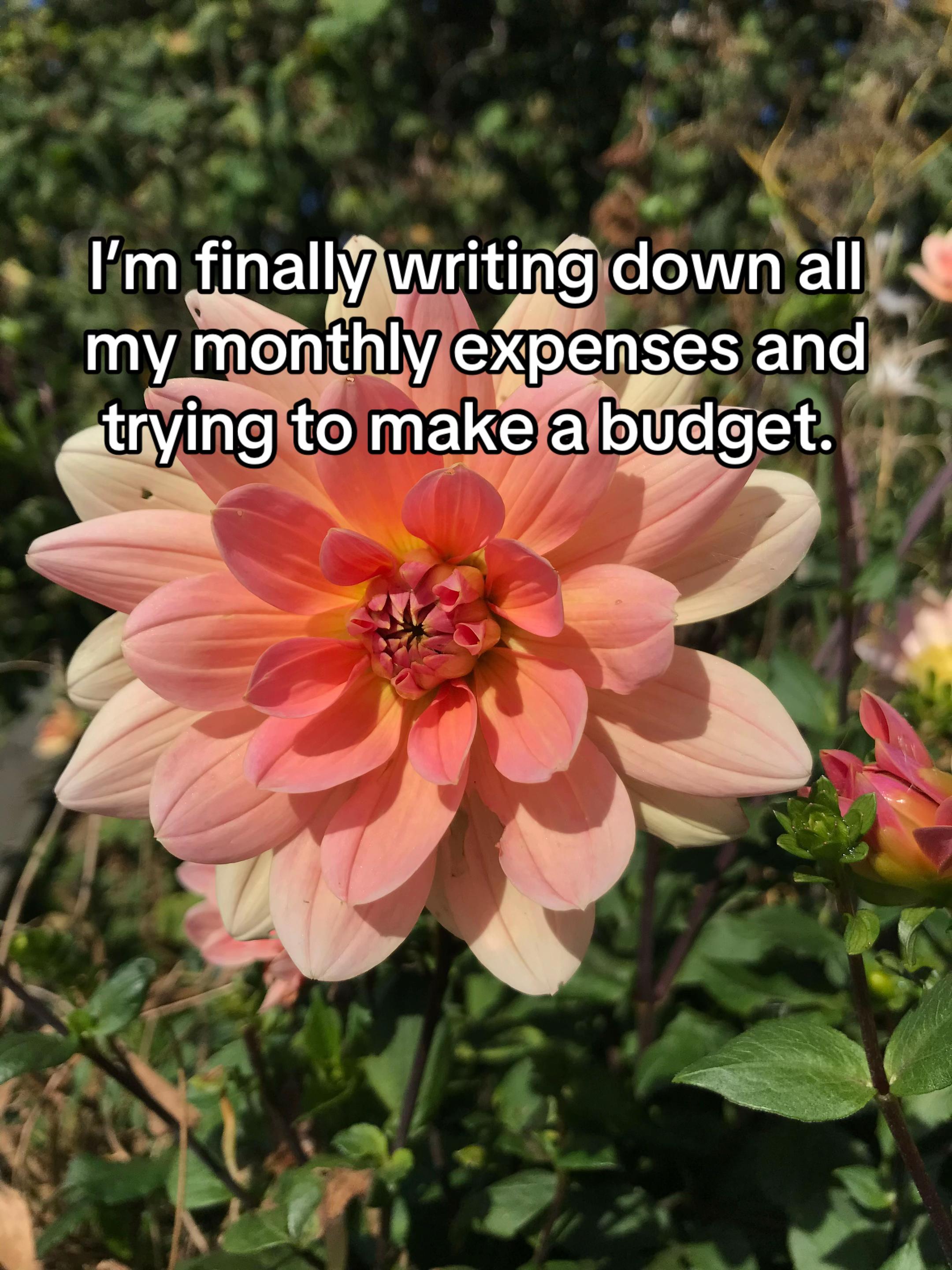 @PayingThatDebt
