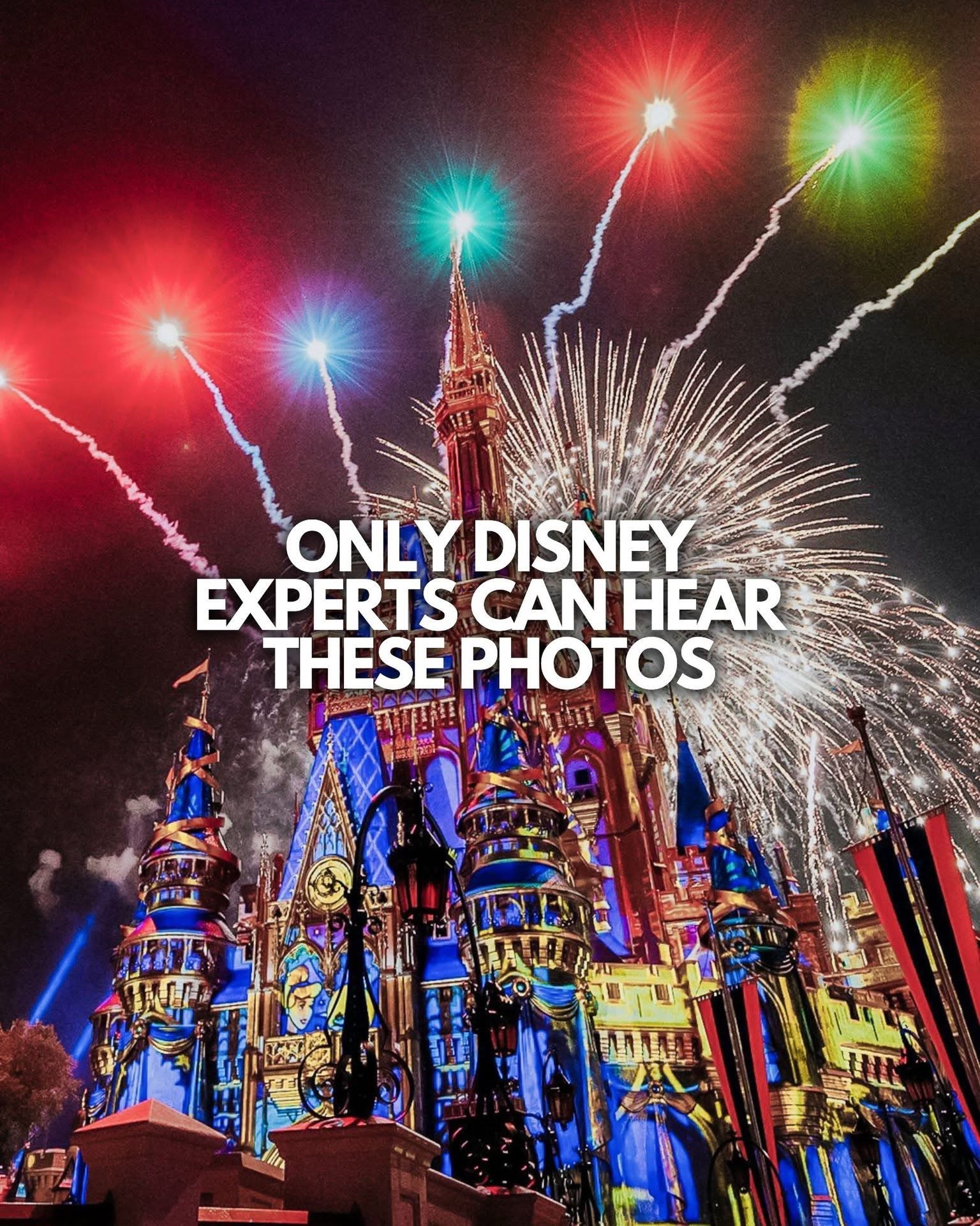 @Disney Trip&Tips With Tiny