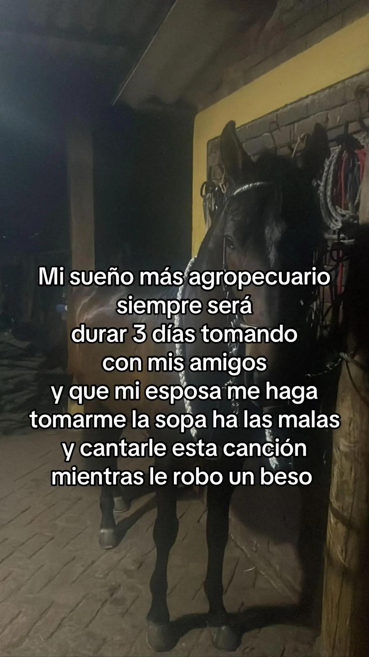 @Camilo ✓