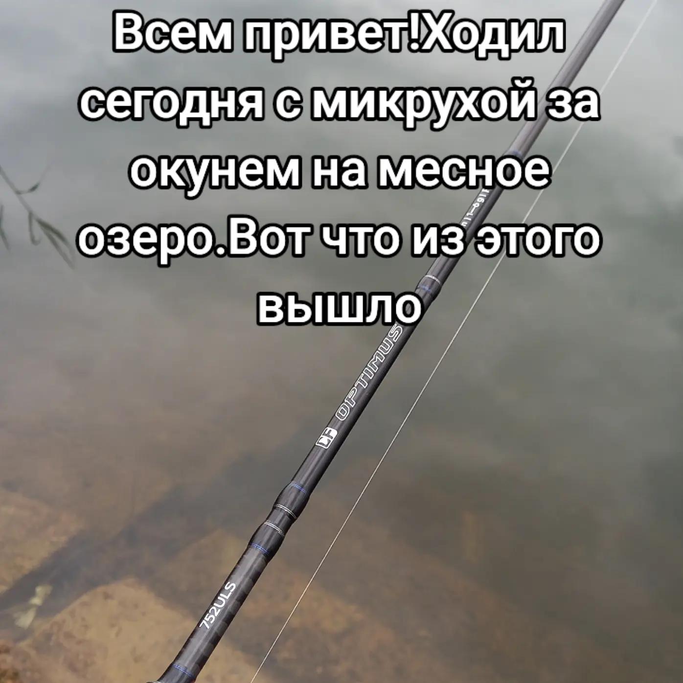 @TimaFish