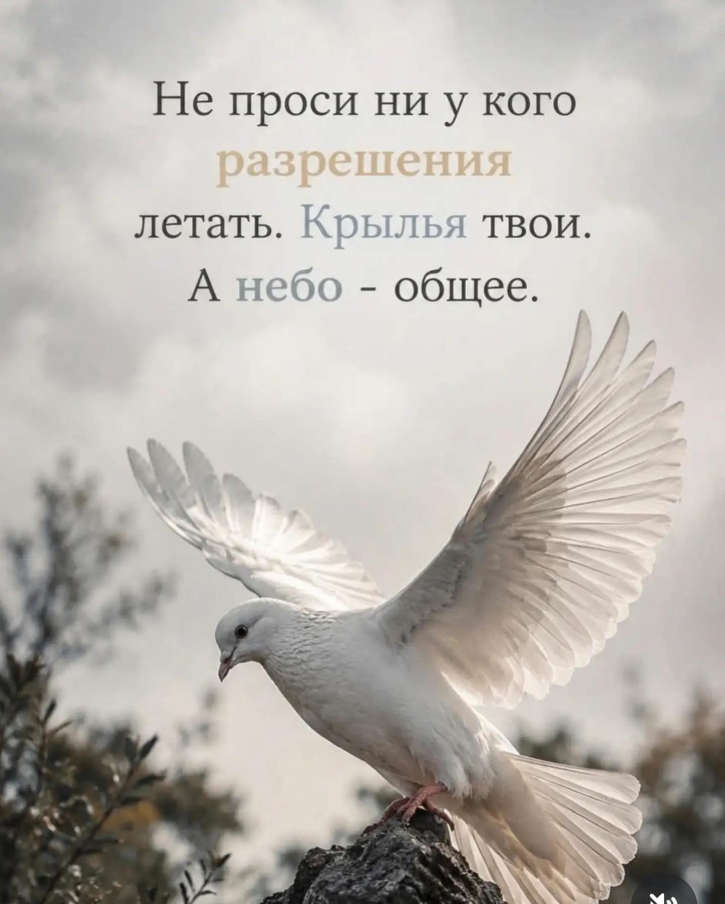 @NRW Иришка 🇷🇺39