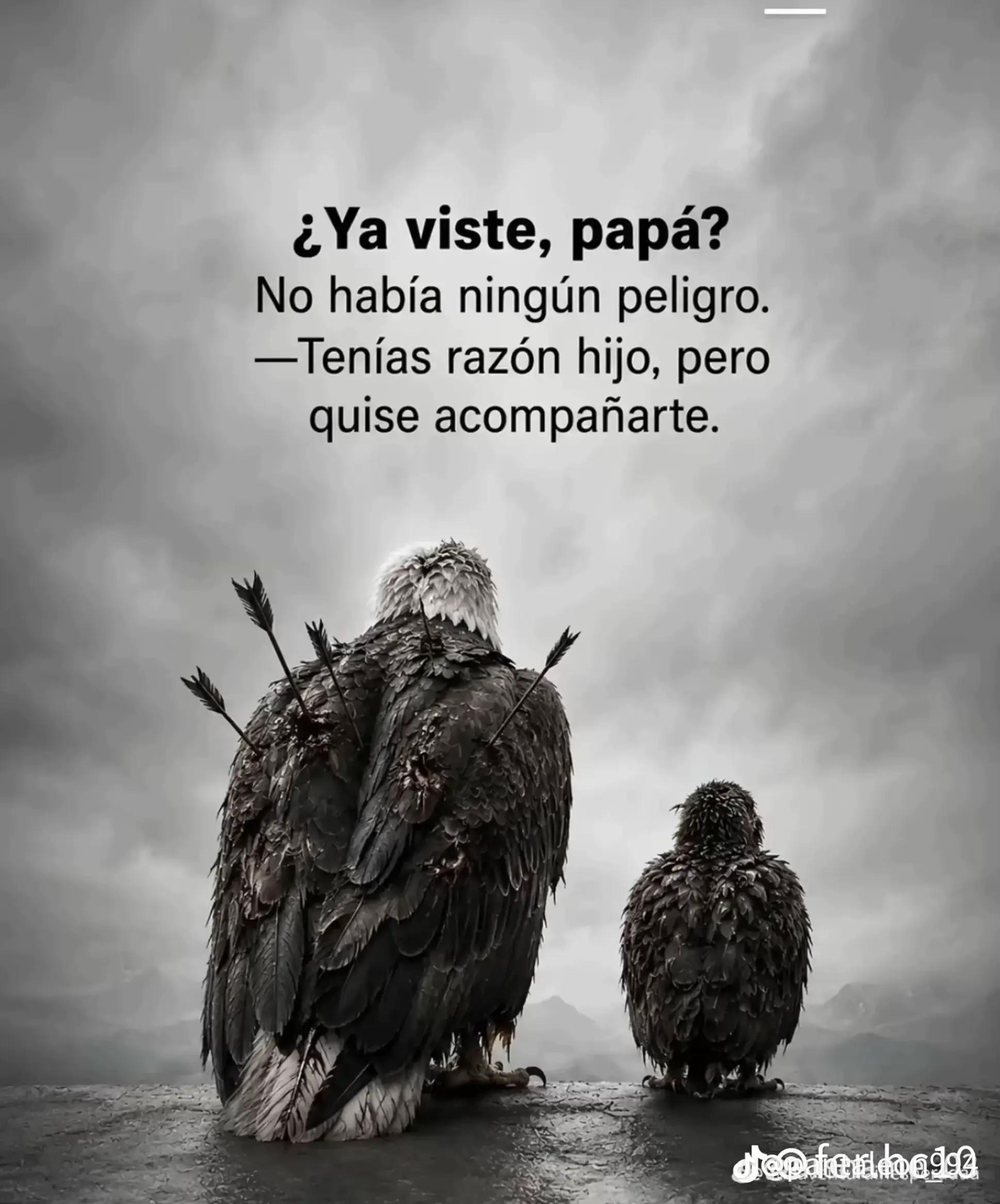 @jesusbustamante533