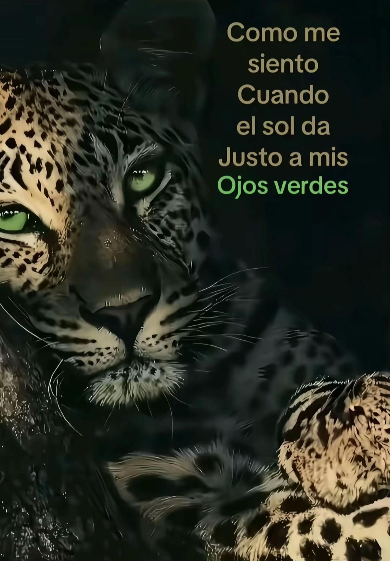 @_byizabella