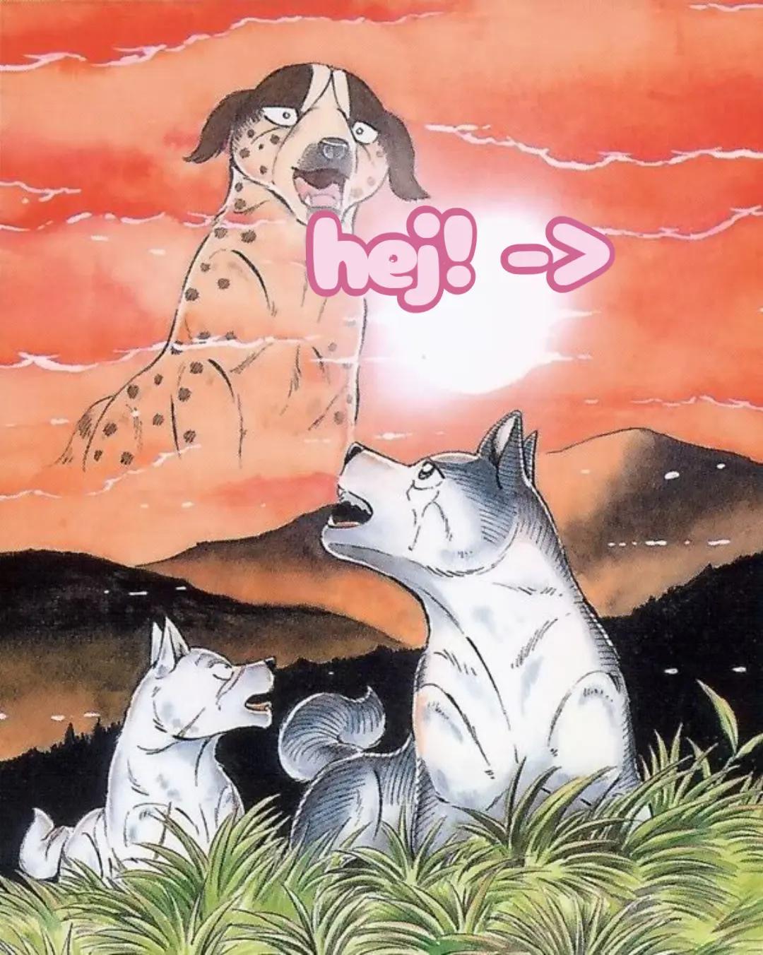 @.°•☆Ginga Silver Fang☆•°.