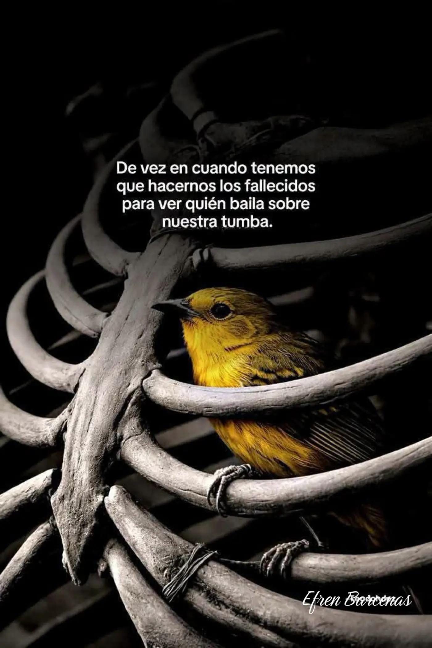@efren Barcenas