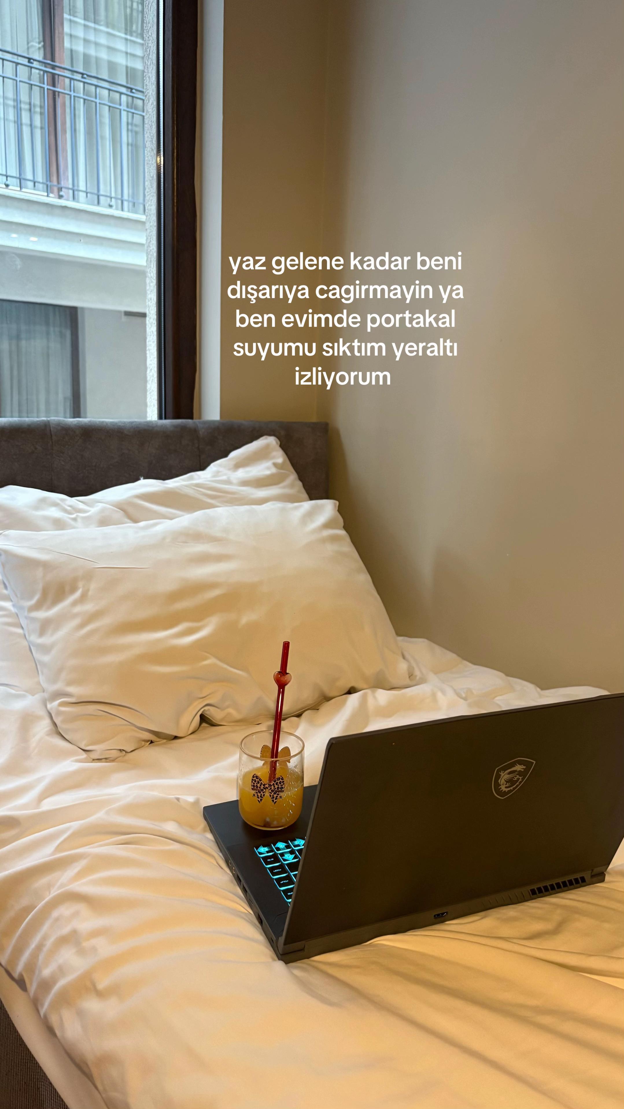 @elifsarauysal