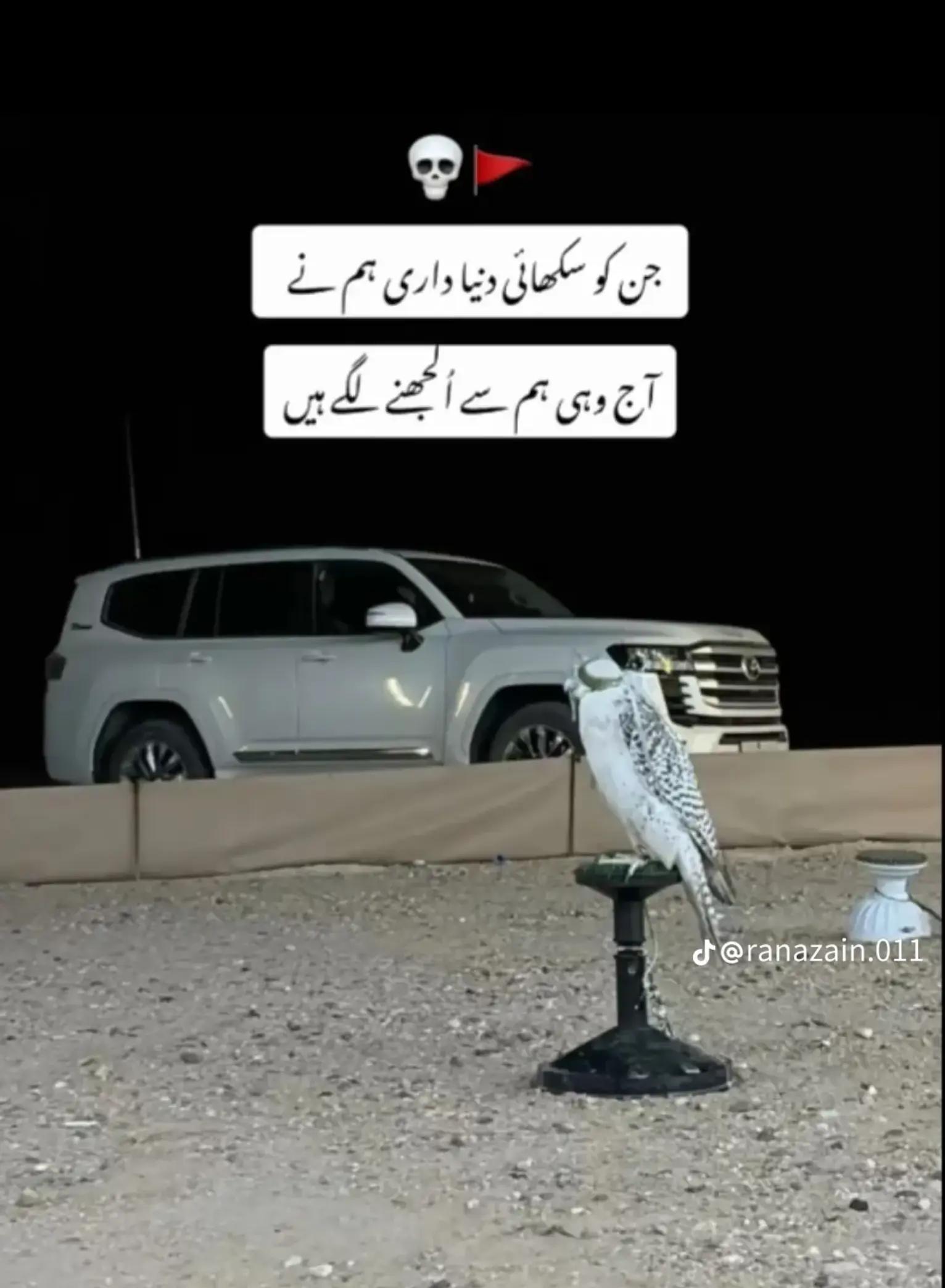 @عبدالمنان سیٹھ جی 🇵🇰✈️🇧🇭>