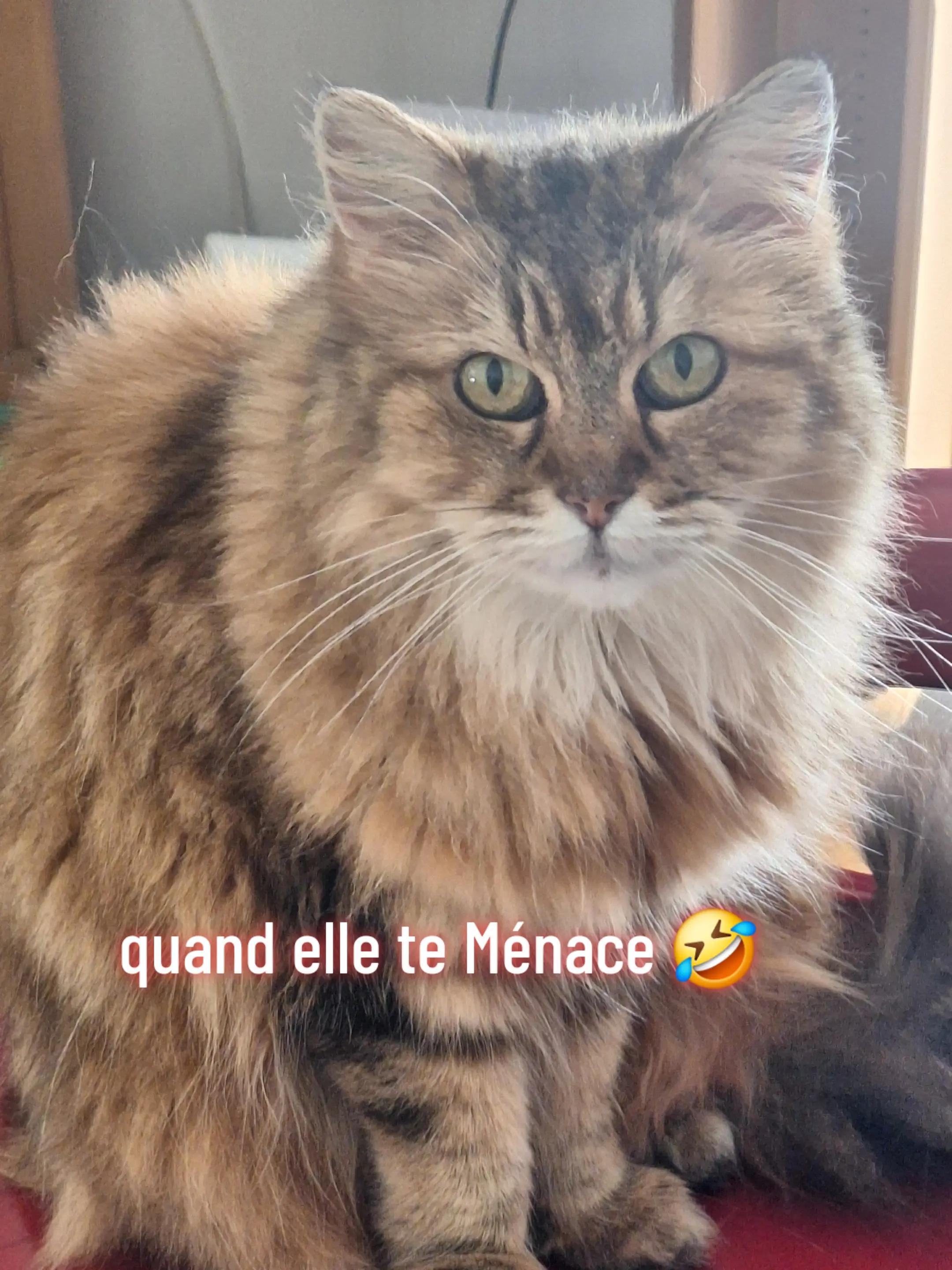 @ketboxeuse🥊❤️💘🏳️🌈