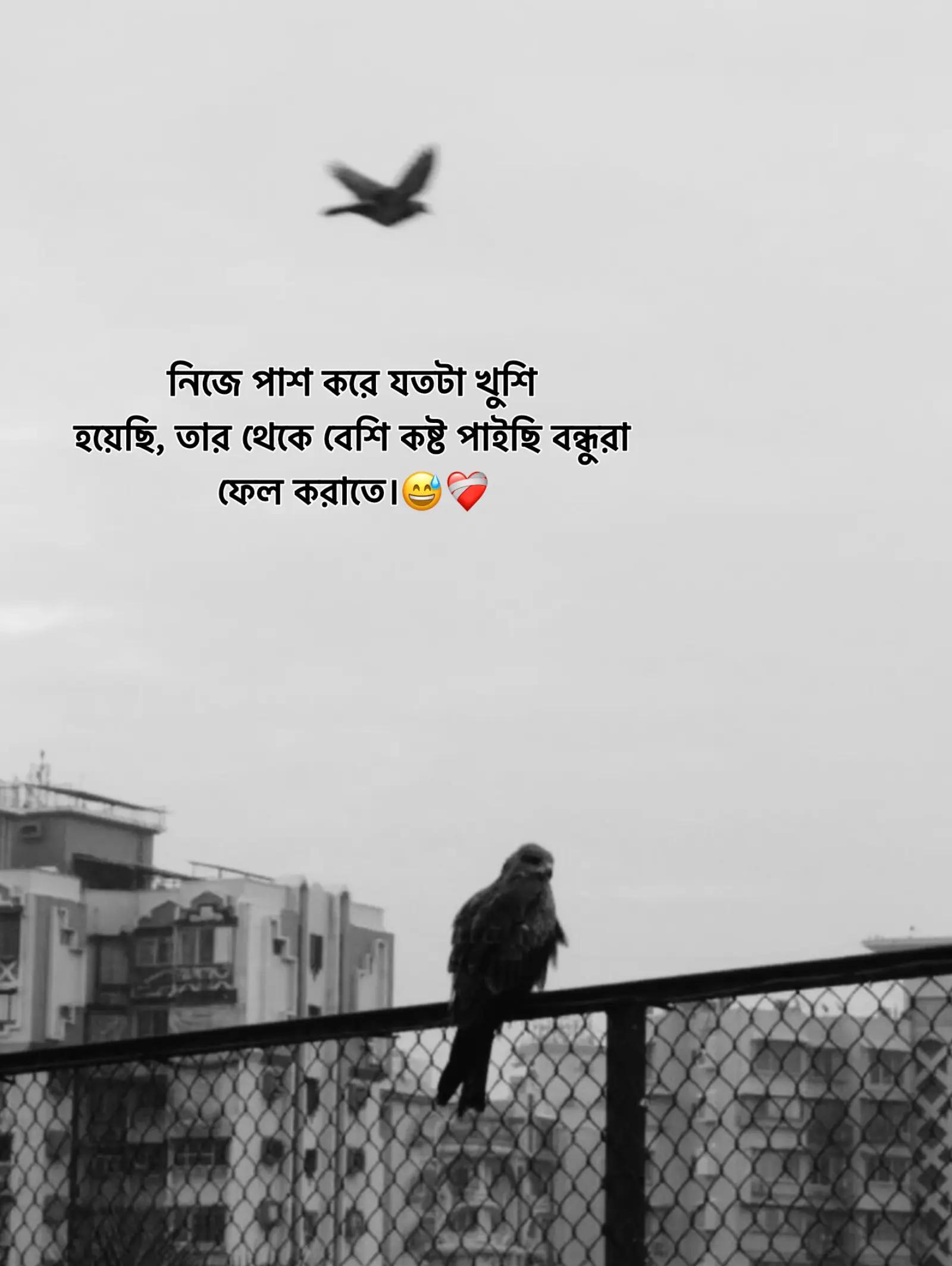 @—͞Ӈabibᴜlla🧃