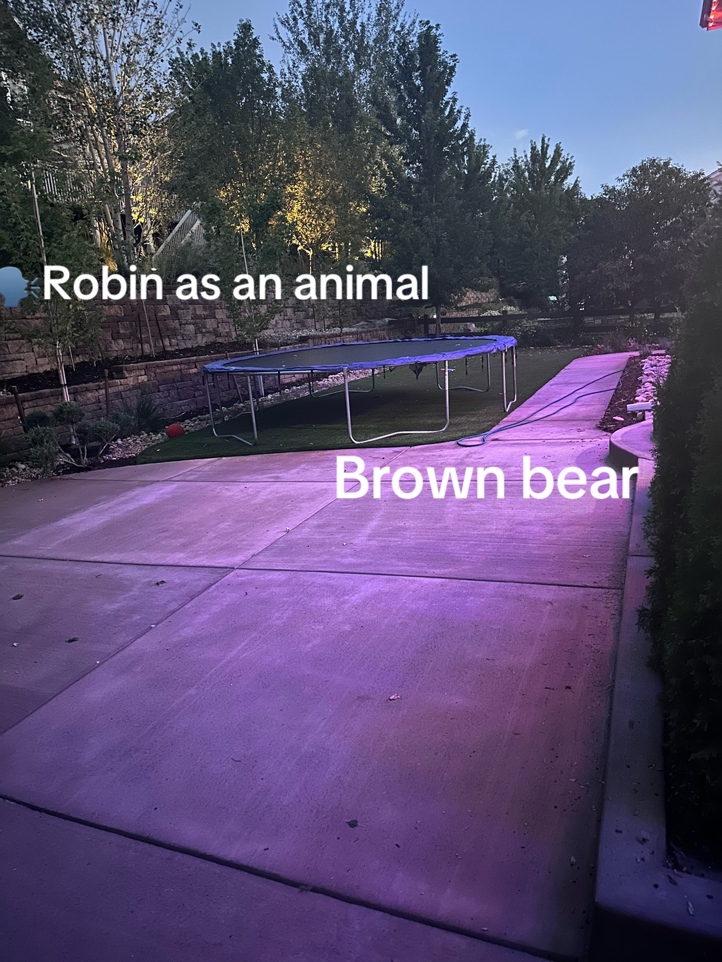 @D1swimsweat 🏊🏿♀️🤽🏿♀️🇺🇬