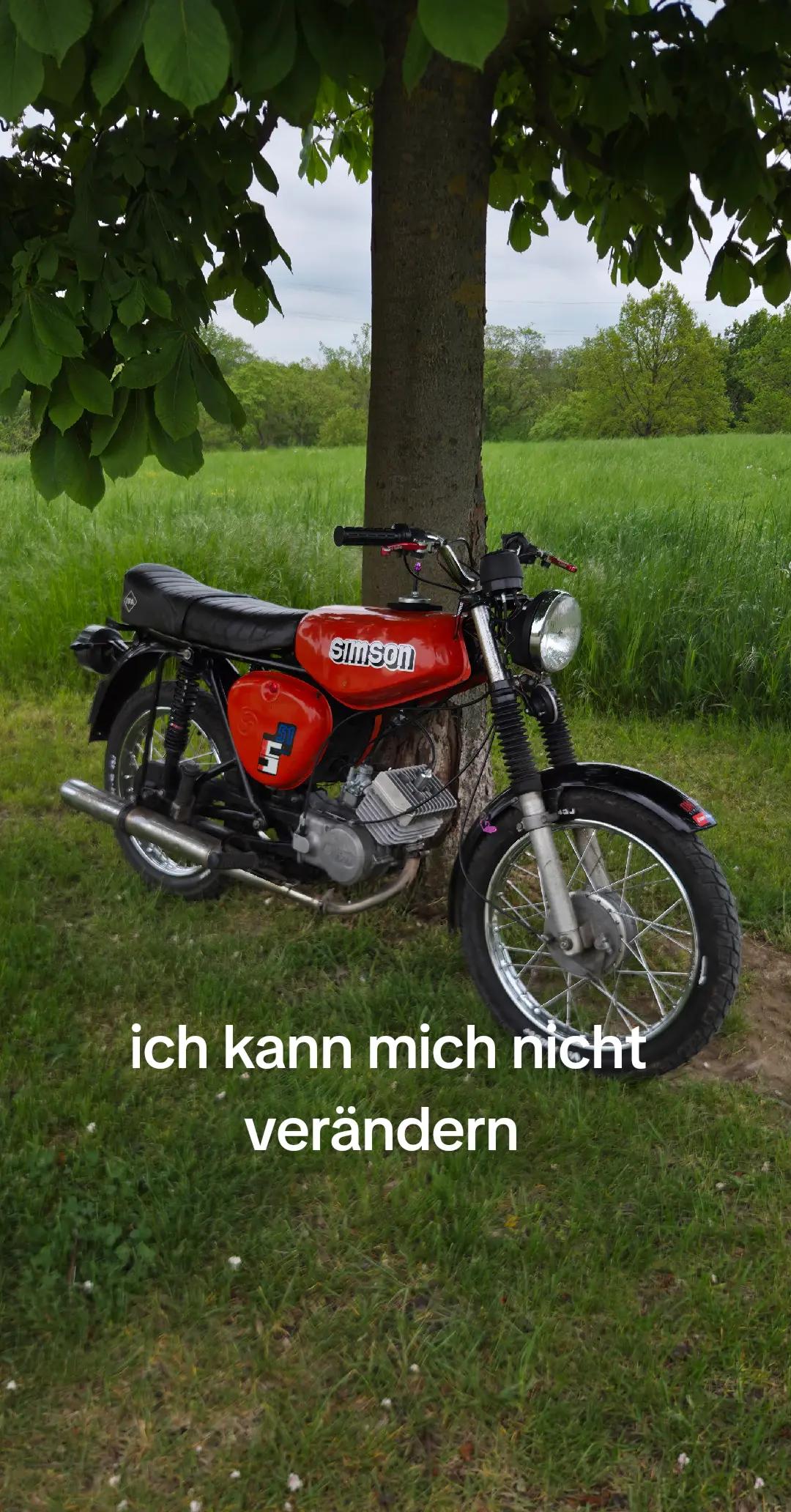 @Halbschalen_schonny