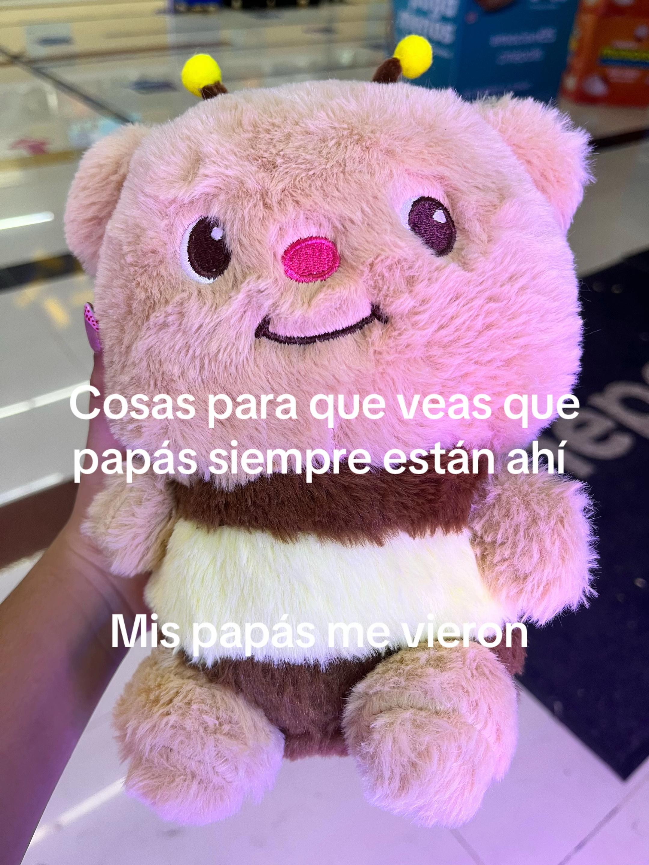 @Jordana Palma