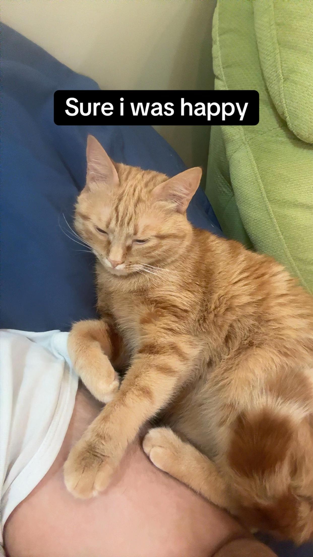 @3aslTheCat