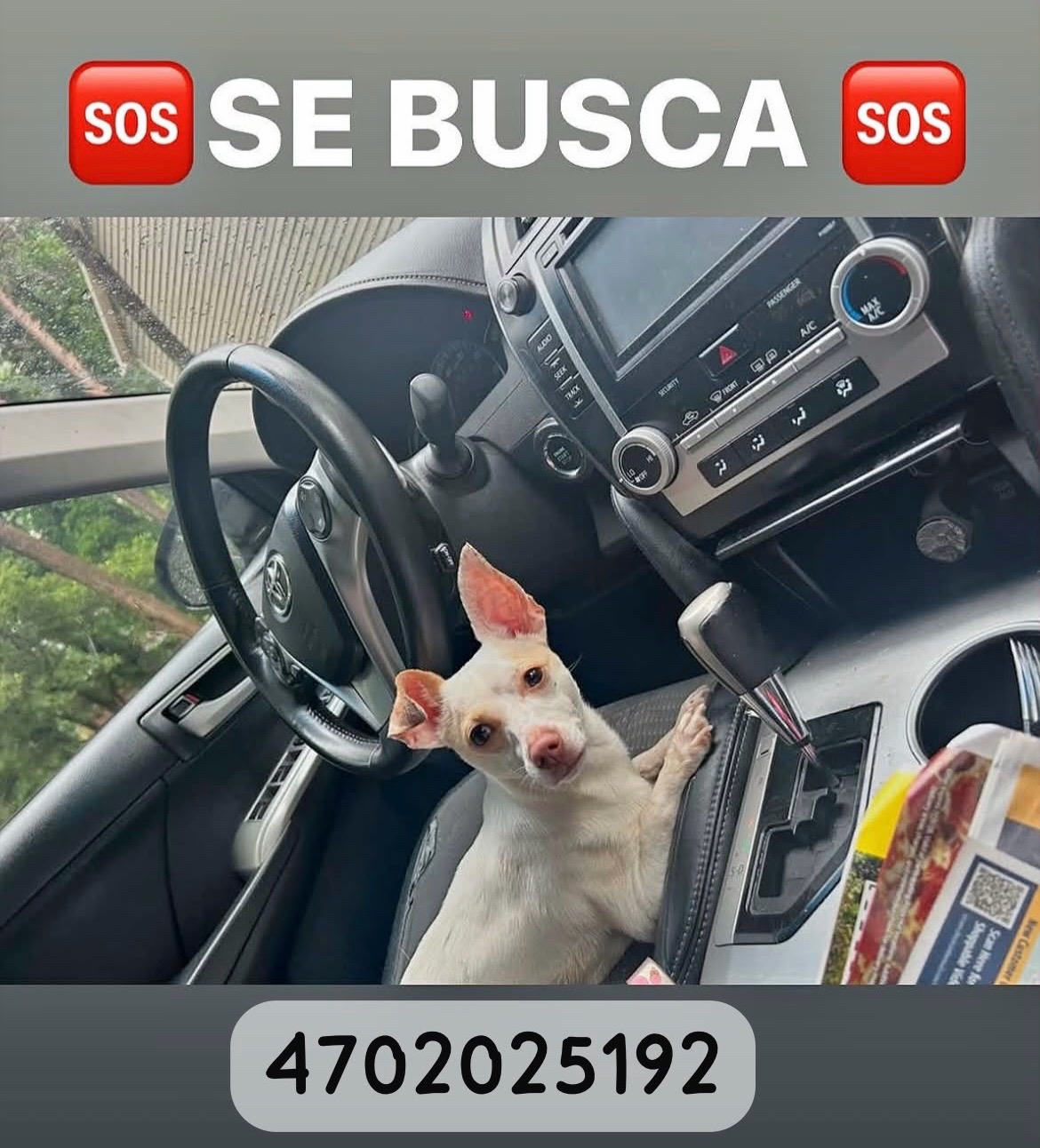 @&Acirc;m&ecirc;l&icirc;a &Acirc;g&ucirc;st&icirc;n