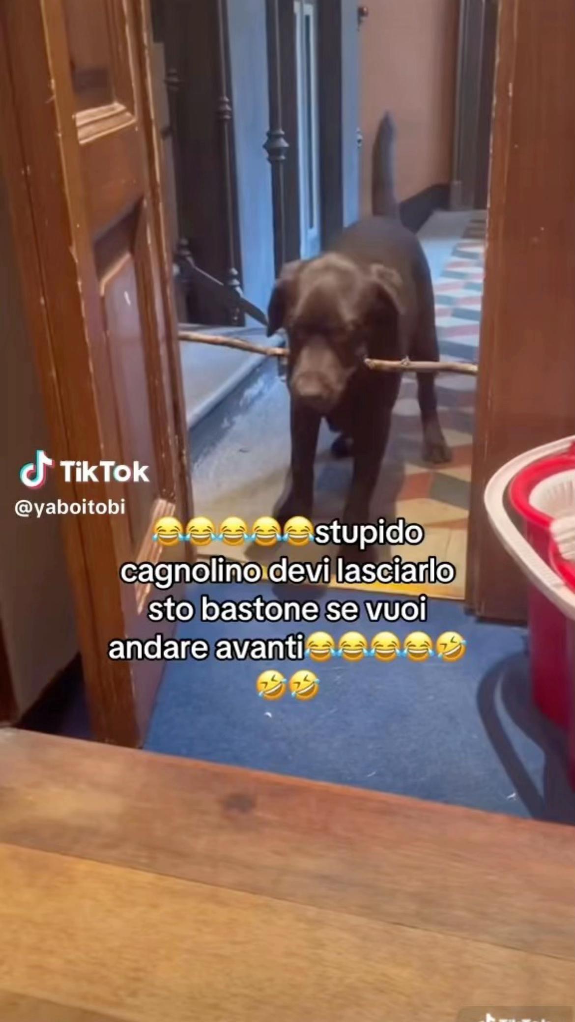 @Mimi