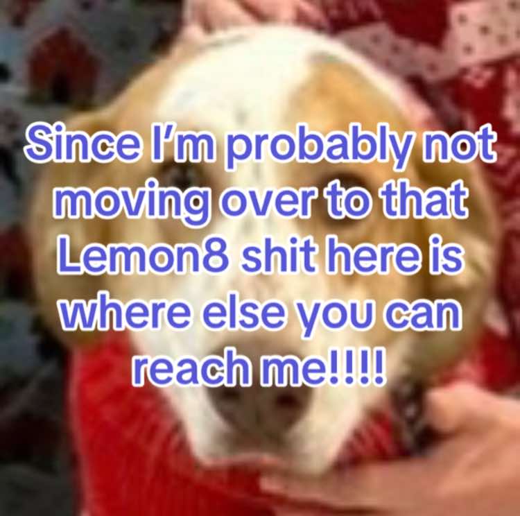 @Random ᕦ( ᐛ )ᕤ