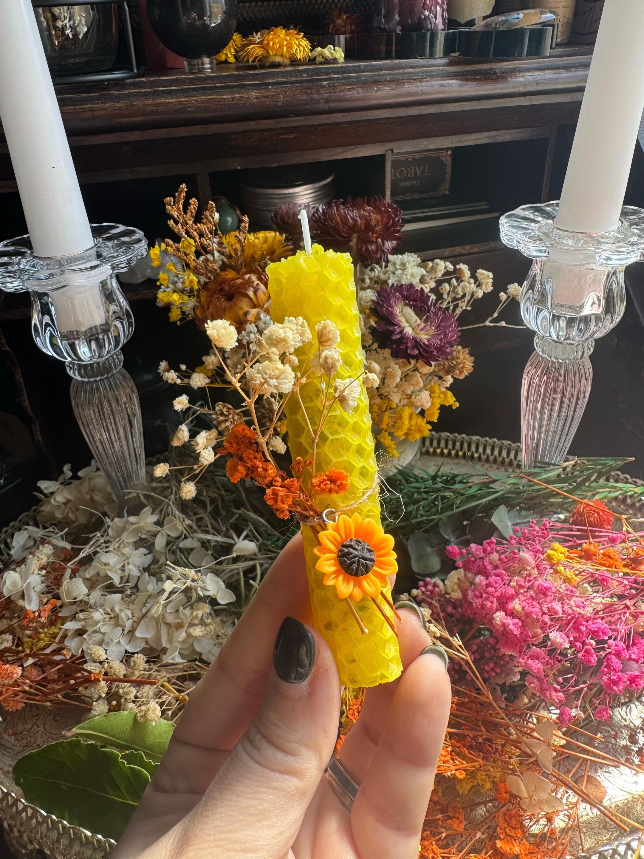 @Lunar Coven Cove