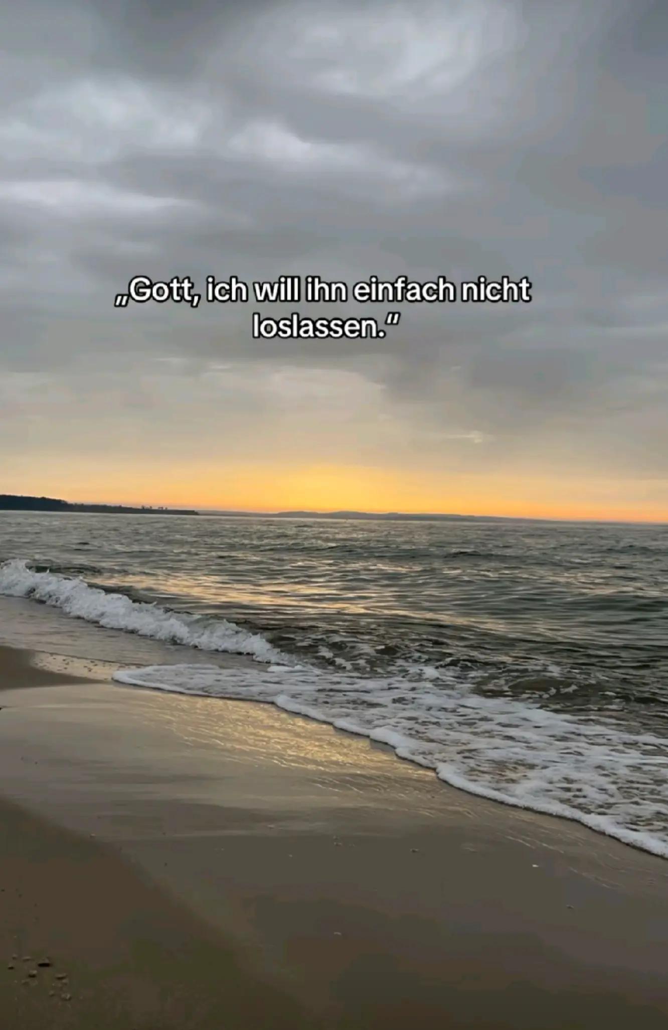 @✨️